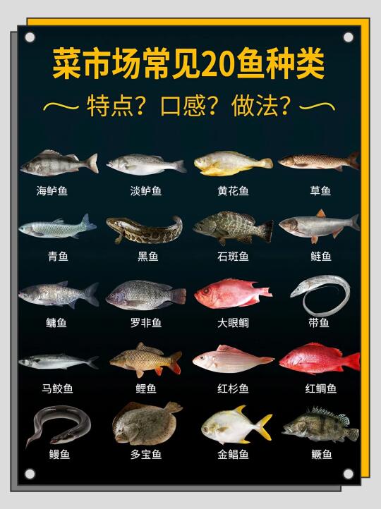 🐟 20种常见鱼「特点+口感+做法」一篇搞定！