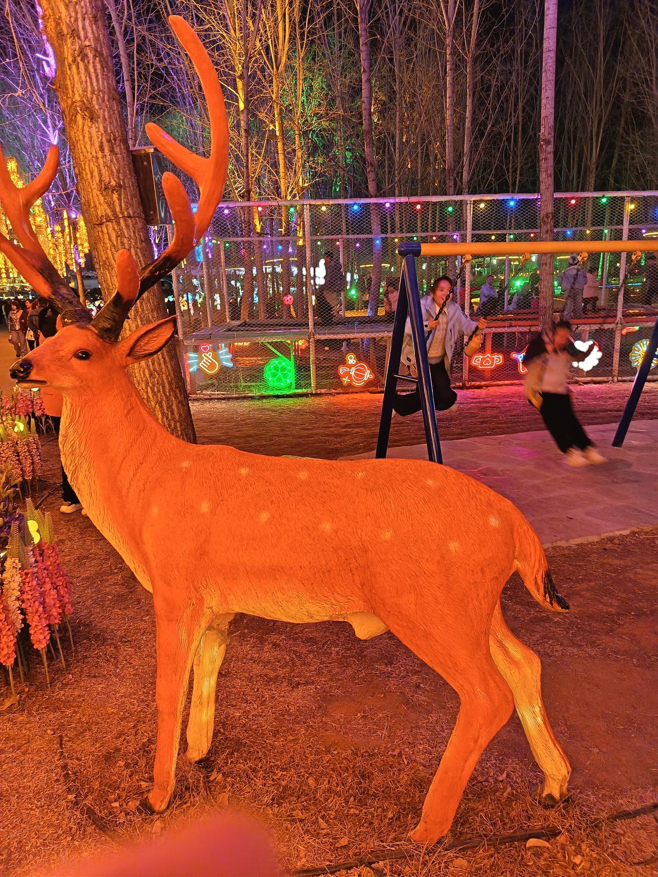 新年到啦，正是爱好打卡的好时机！春节，那可是一年里最让人期盼的时刻，它就像个温暖