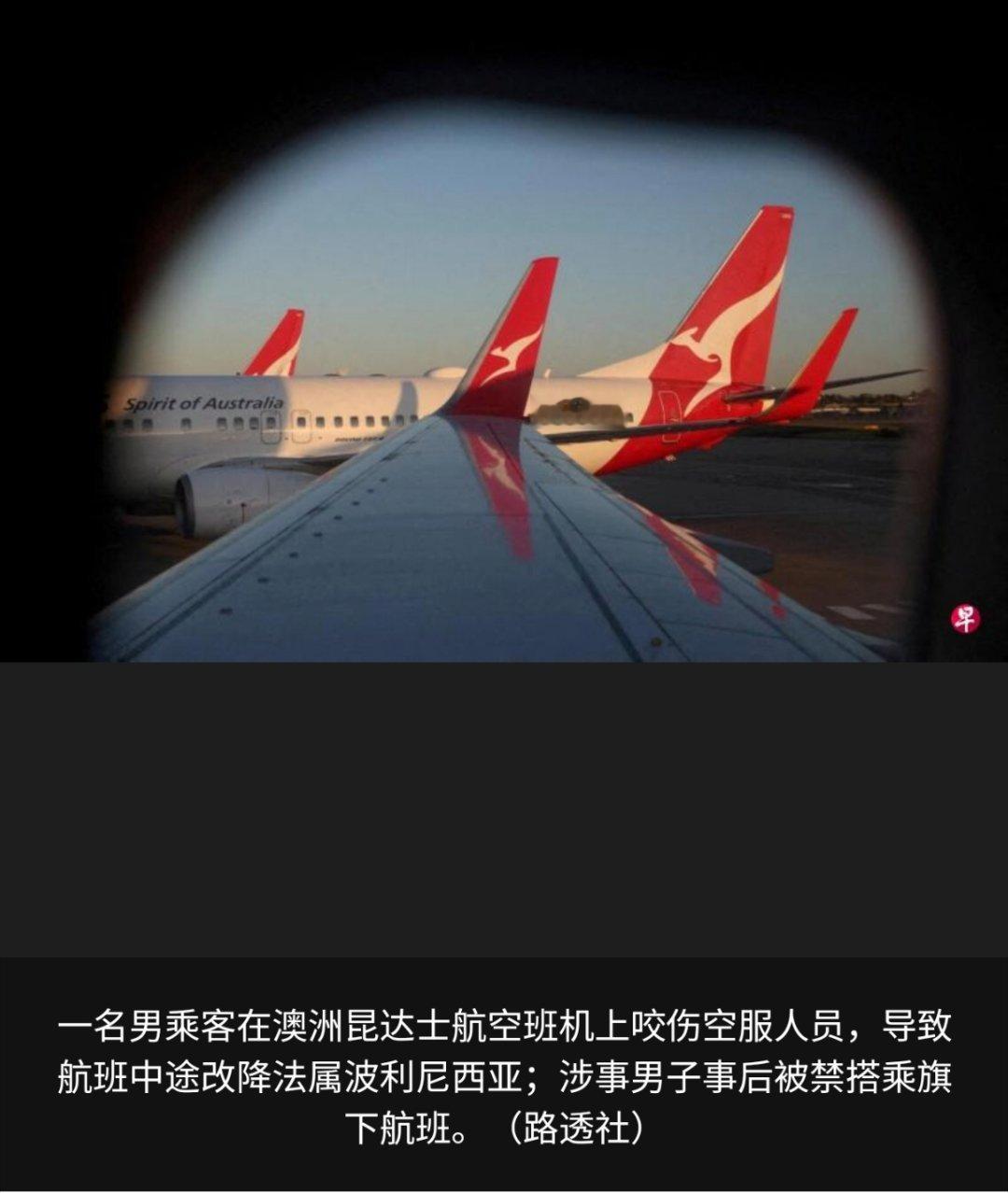 寰球镜头有点吓人了，该不会有什么狂犬病或者传其他传染病之类的吧？澳洲昆达士航空（