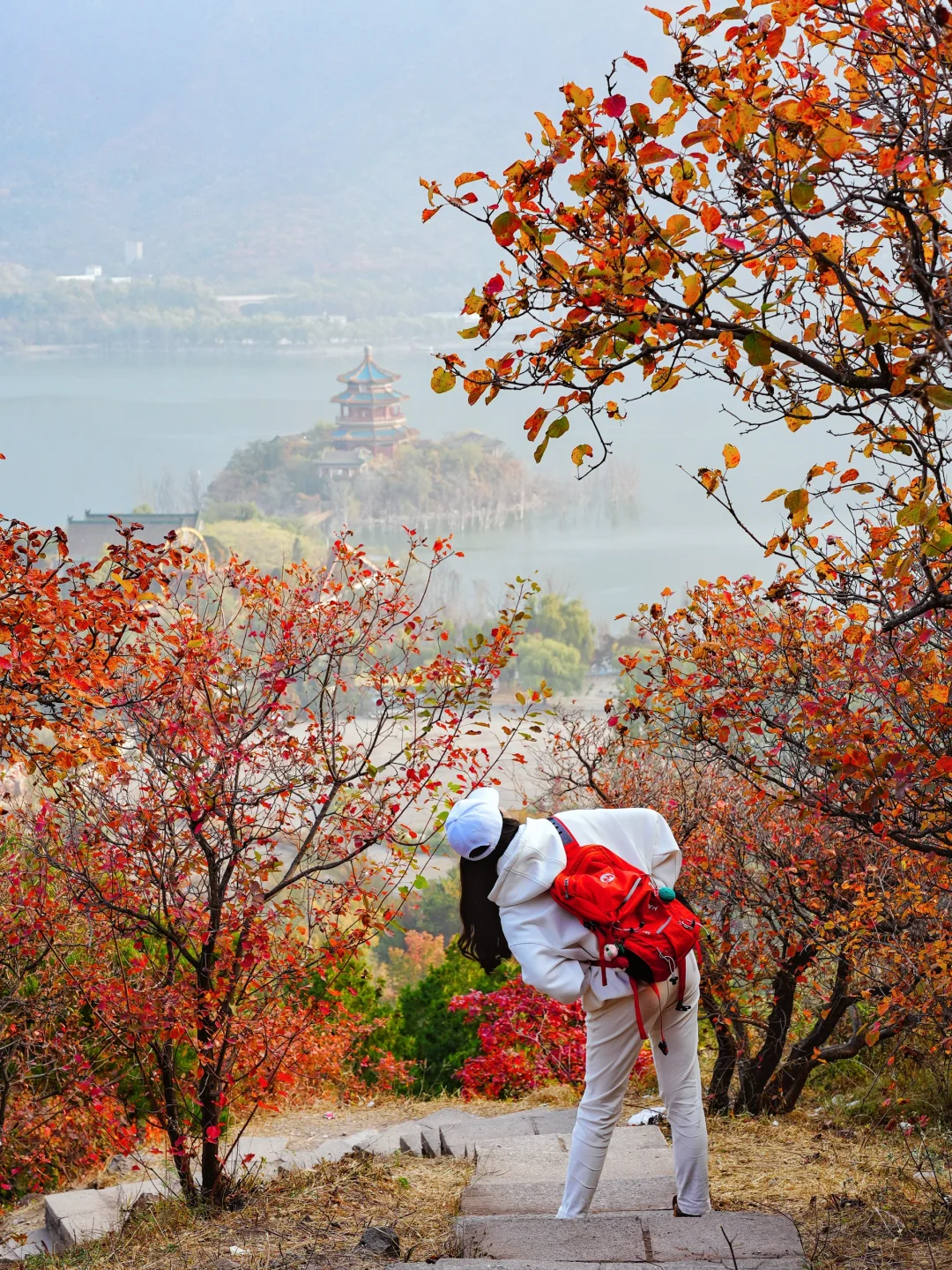 11.1实拍，北京半红半绿登山步道，低幼友好