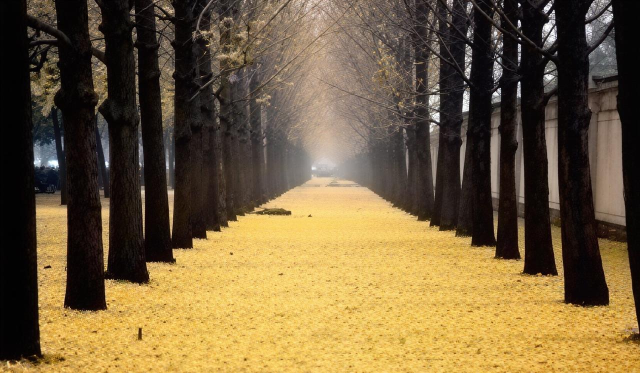 晒图笔记大赛秋风经过