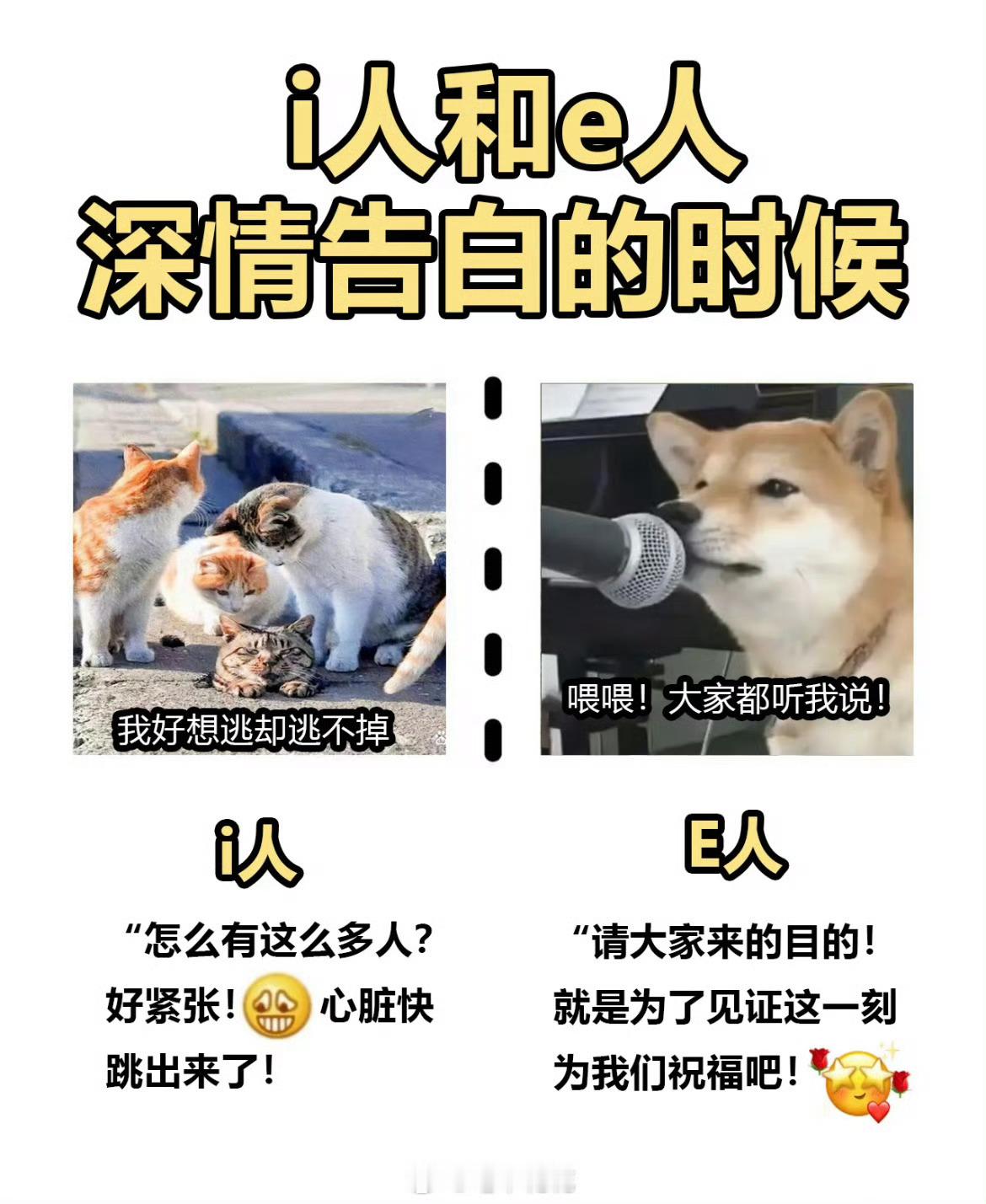 i人是如何交朋友的精准筛选社交圈，从共同兴趣出发，线上深度交流，线下偶尔小聚，用