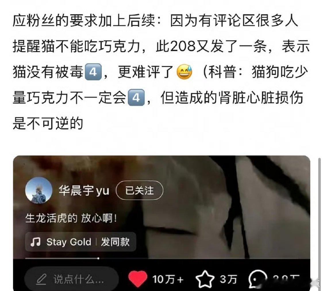 华晨宇喂猫吃巧克力蛋糕先科普：巧克力对猫咪有剧毒，可可碱会造成中毒，严重可危及生