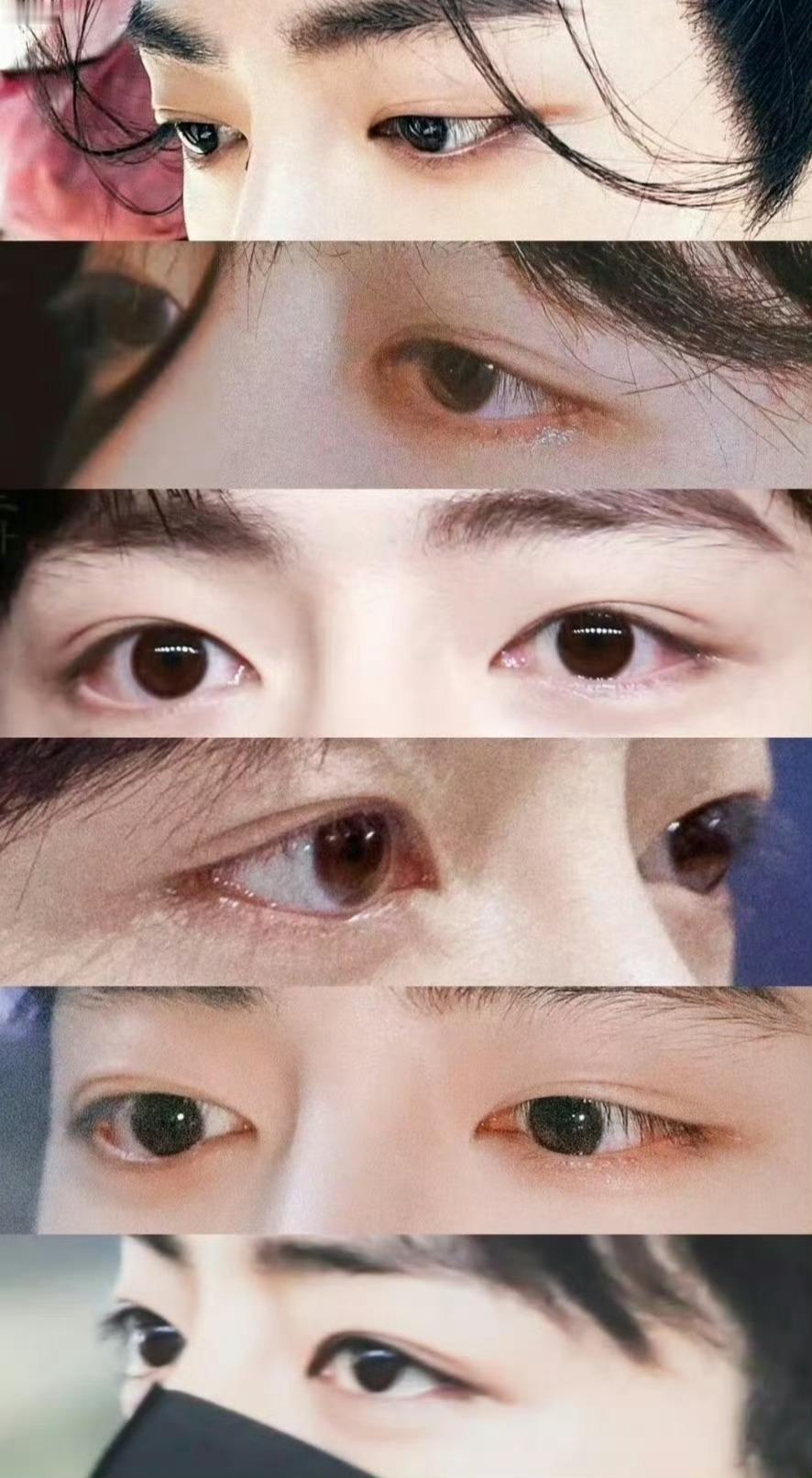 美好的一天从多看看肖肖美丽的眼睛开始