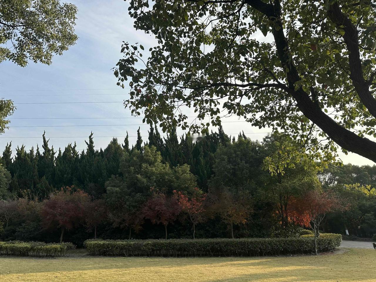 晒图笔记大赛公园随拍