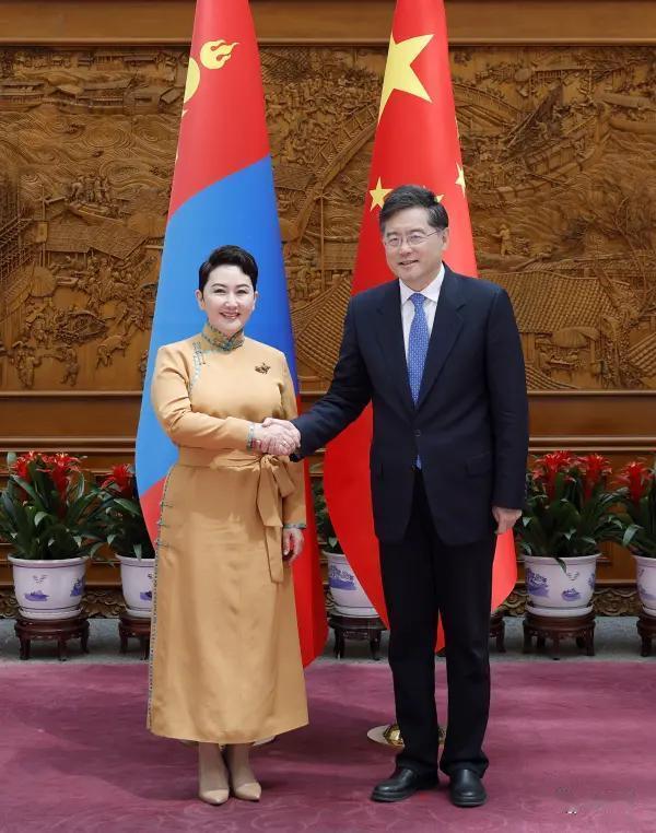 让人眼睛一亮的蒙古女外长

五一节那天，国务委员兼外长秦刚同蒙古国外长巴特策策格