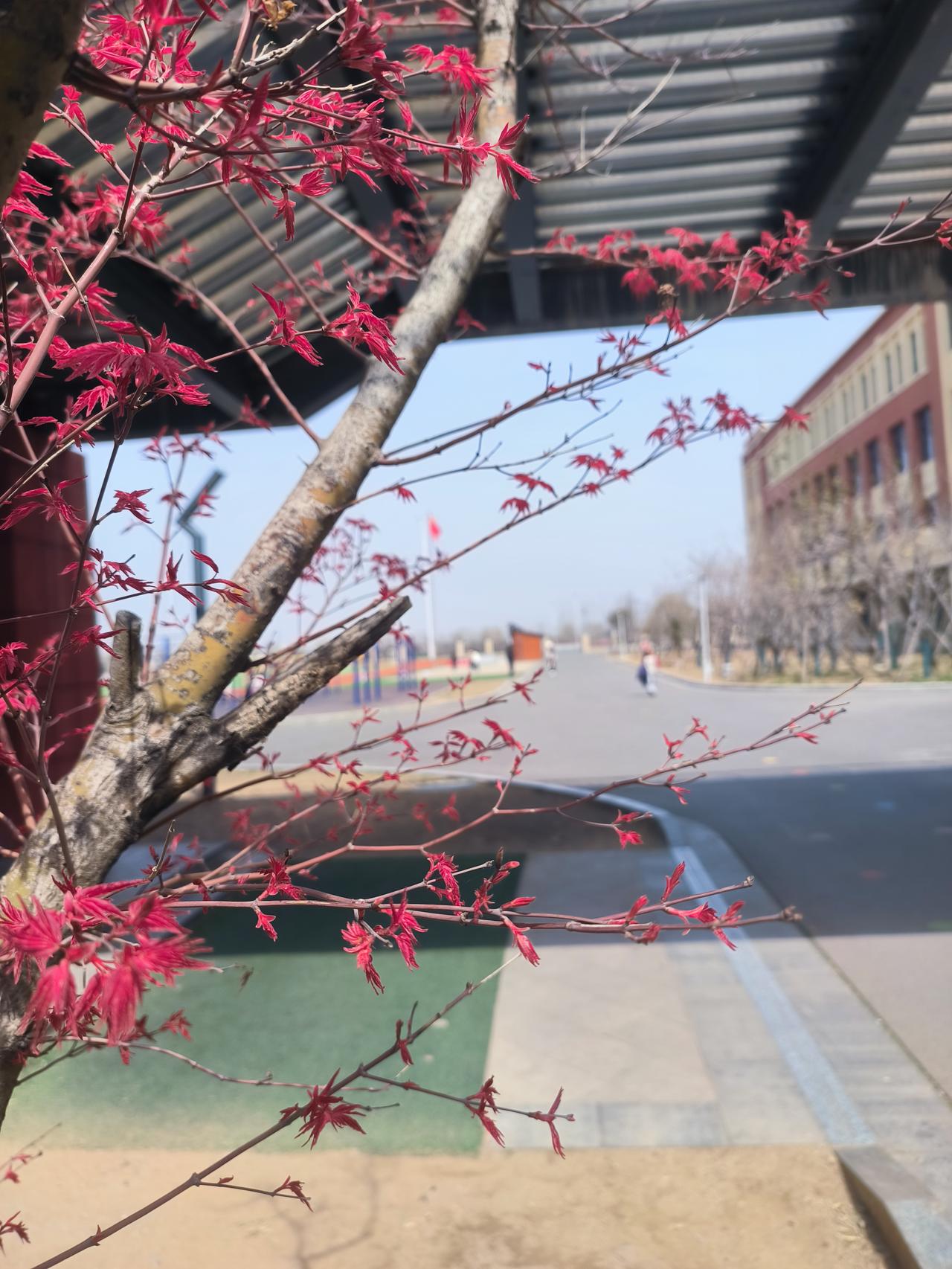 批判性的东西自然非常有价值，但伤害性也大，还是要肯定人性当中的善。

相信大家的