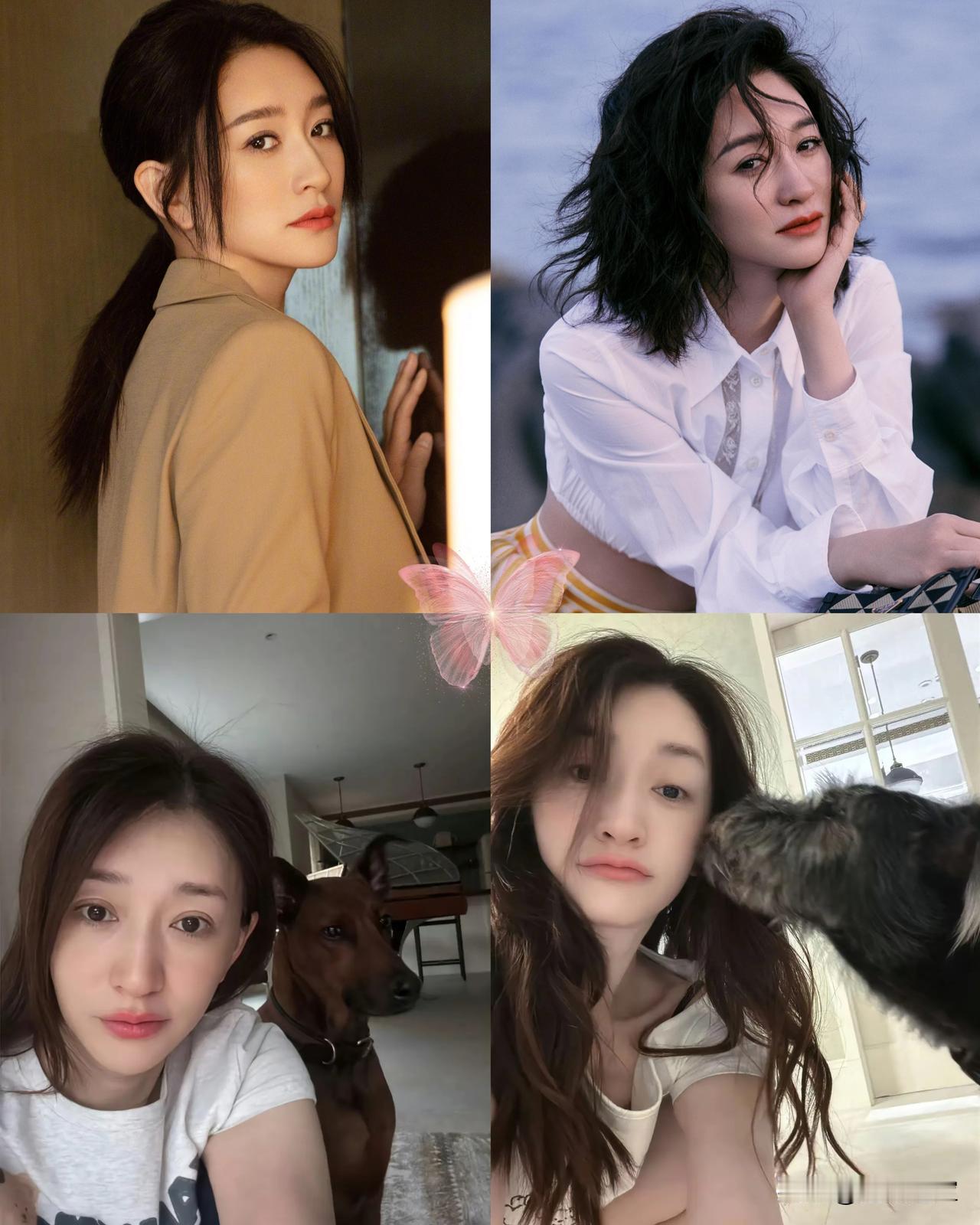 50岁的李小冉，离婚后从前夫买的大别墅里搬出来，无儿无女，一个人带着几条大狗狗生