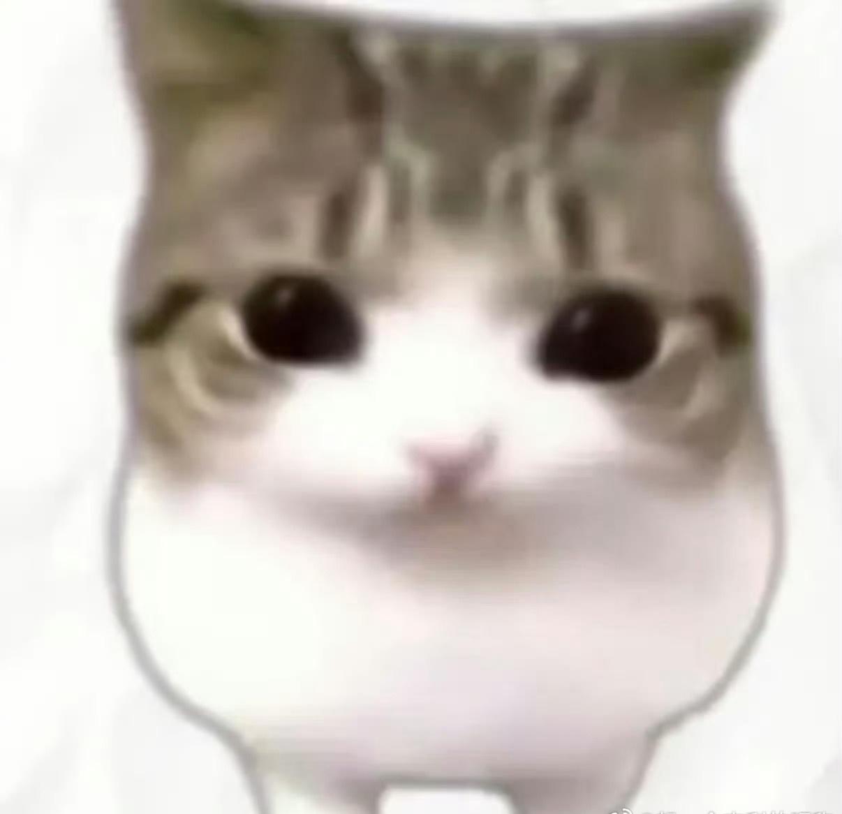 青岛公共区域大字标识获游客点赞被青岛的公共设计狠狠戳中。不管是景区的指示还是街区