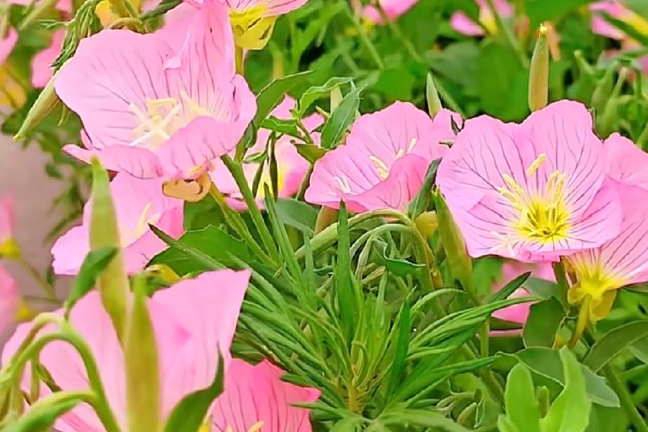 最残忍的缘分，从来都不是擦肩而过，而是他曾经真的很爱你，很爱你。

也让你相信，