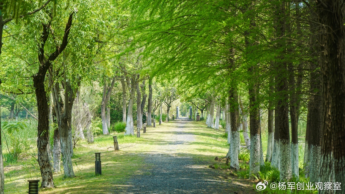 【股权激励工具：没有“最好”，只有“最匹配”】股权激励工具的选择，本质是“动态匹