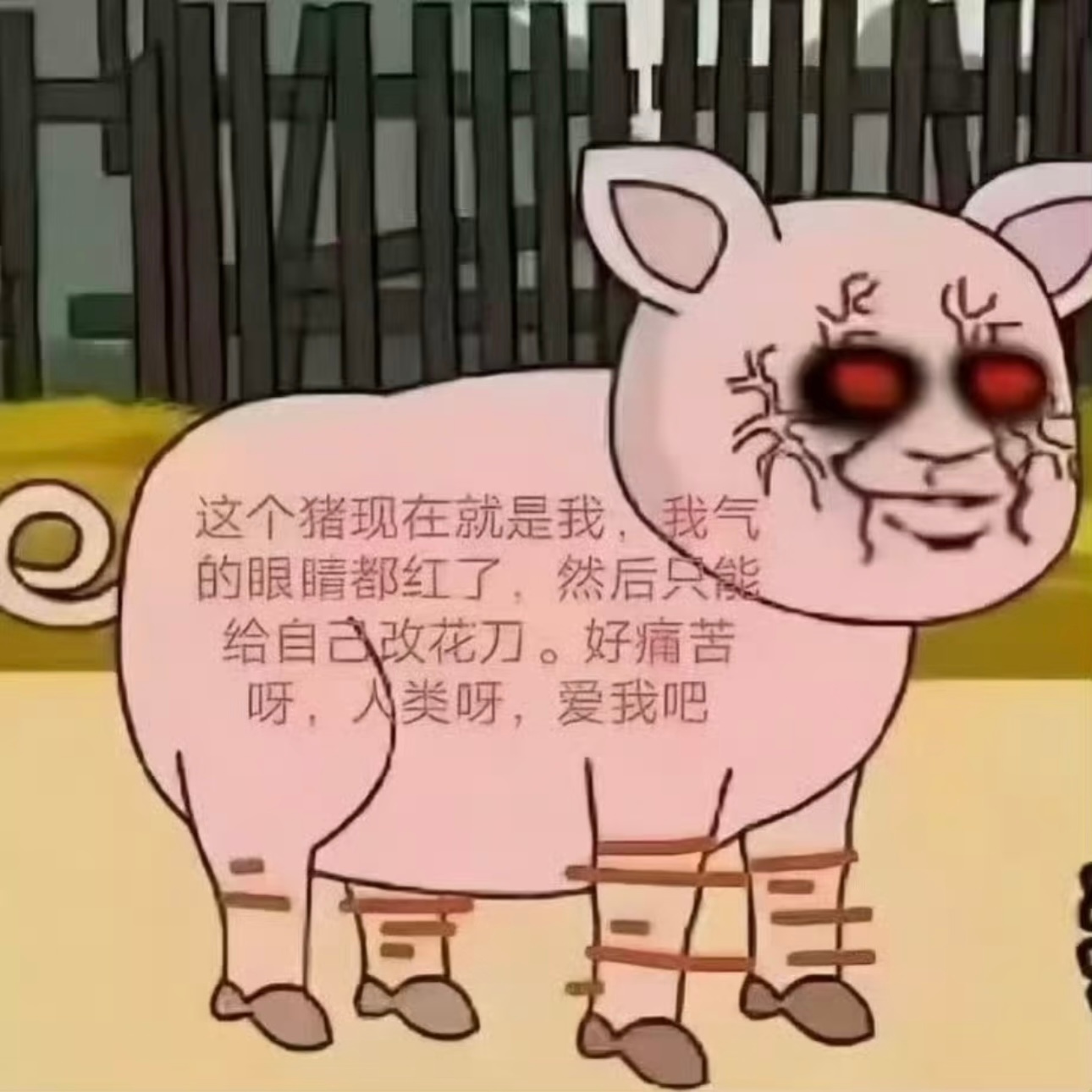 我每天就这样： ​​​