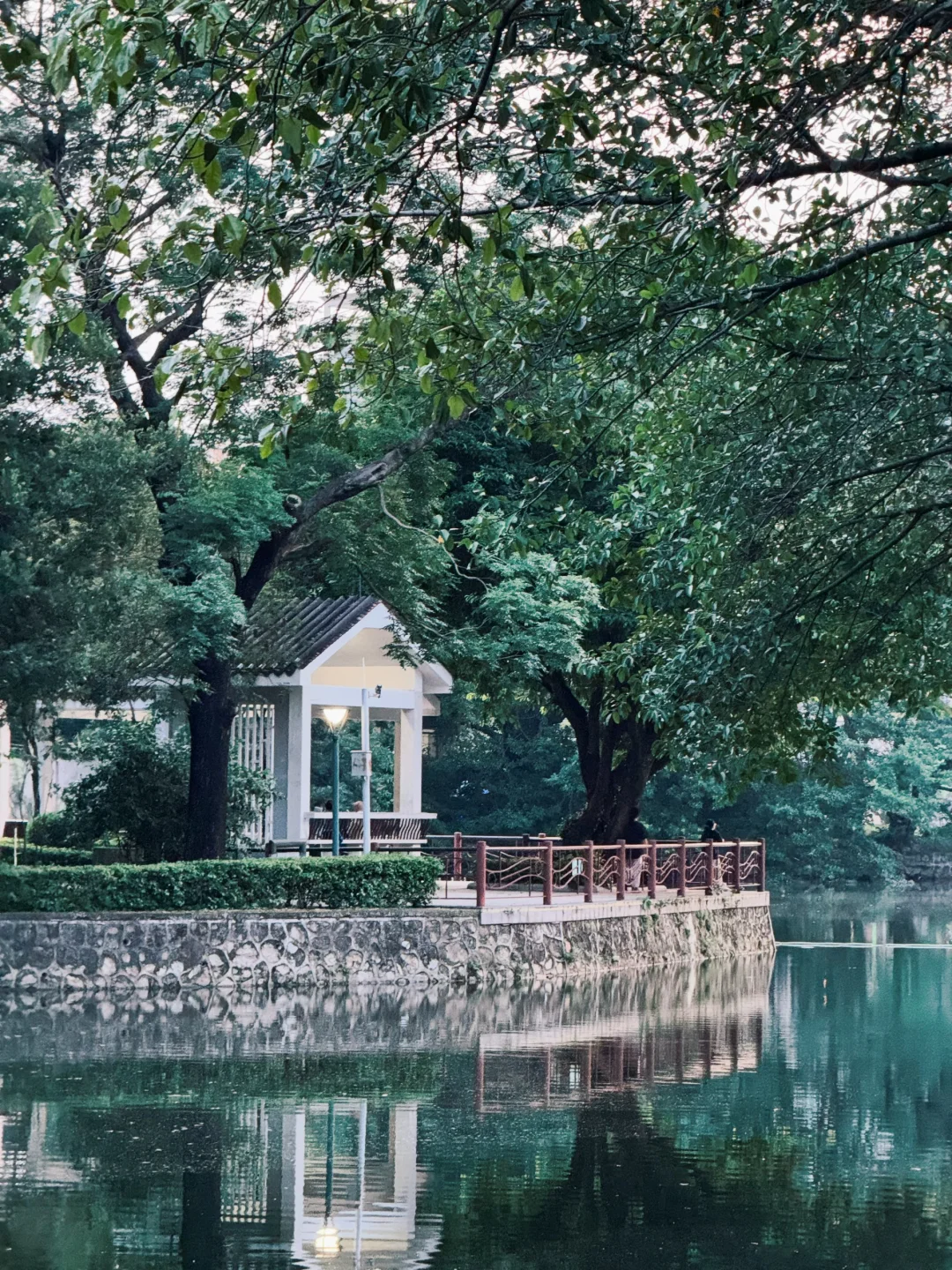 流花湖还是美的太权威了