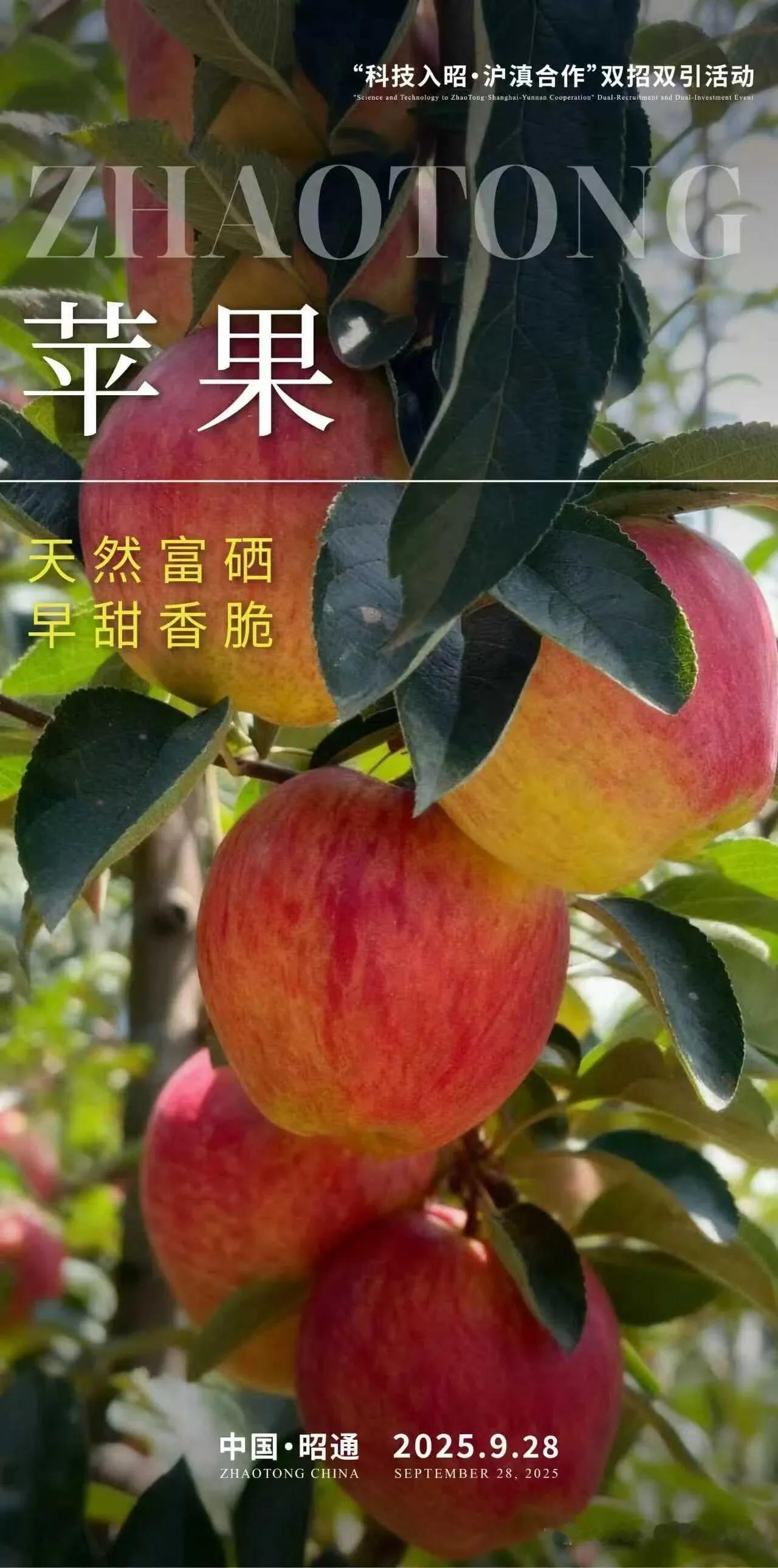 2025年 “科技入昭・沪滇合作” 双招双引活动将于9月28日在昭通市正式启动