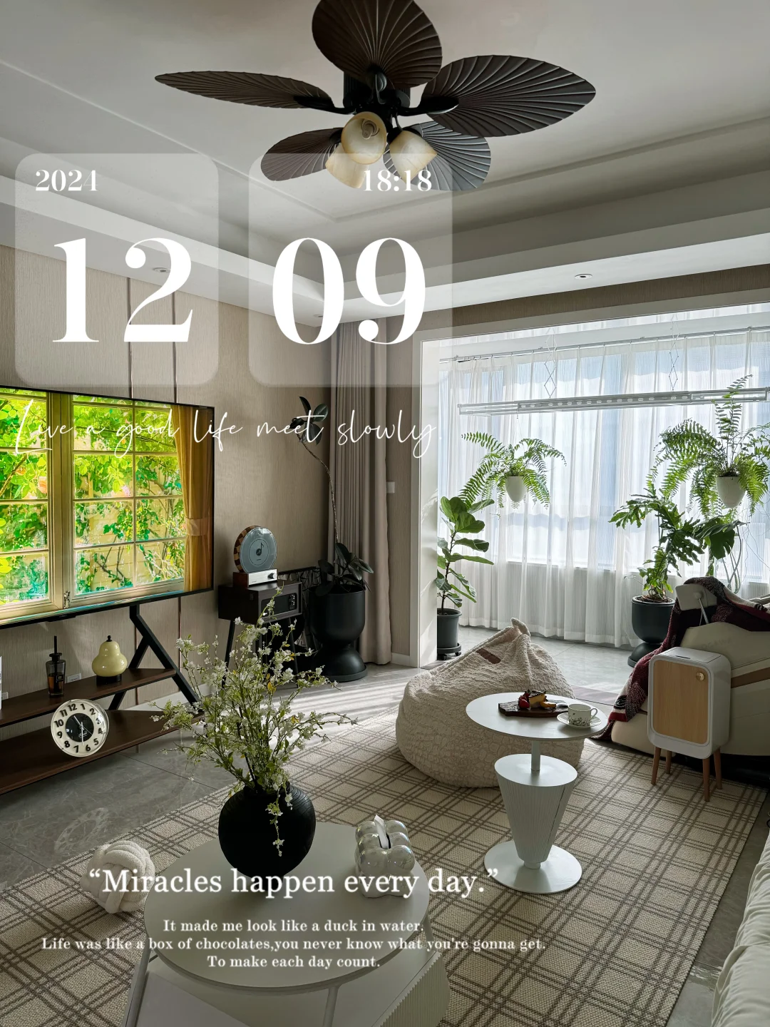 30+单身独居|打造我的阳台小森林🌲