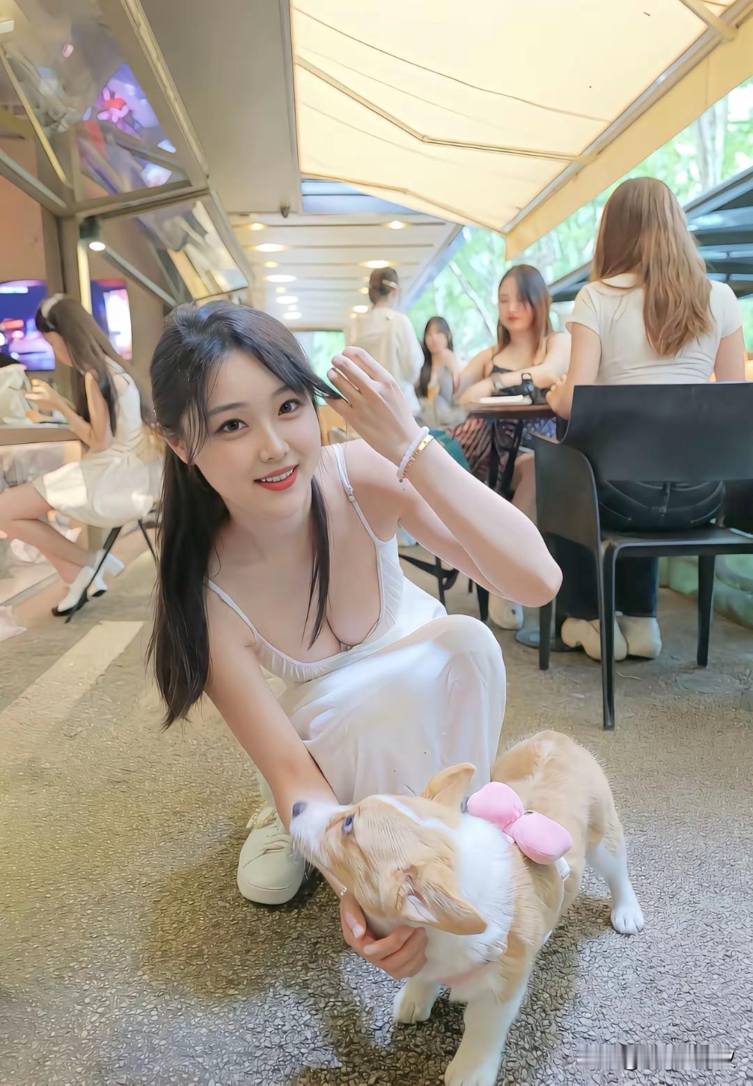 狗狗好可爱[星星眼][星星眼]