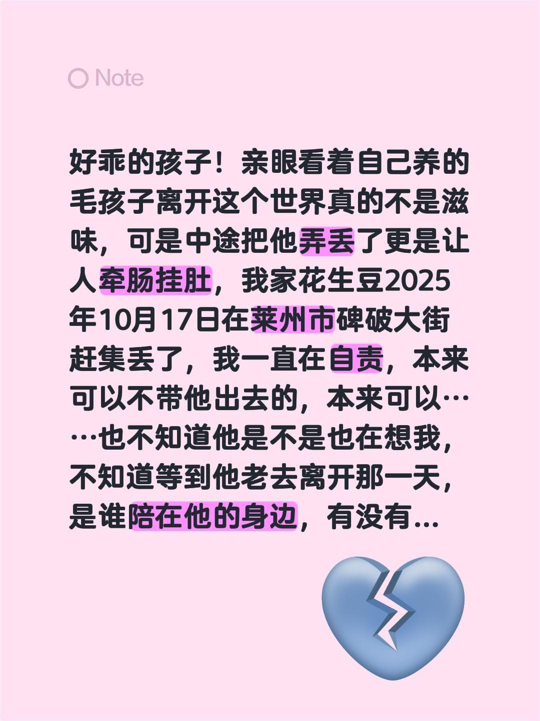 莱州同城寻狗启事（九岁男泰迪名叫花生豆）我评论了 的作品： 好乖的孩子...