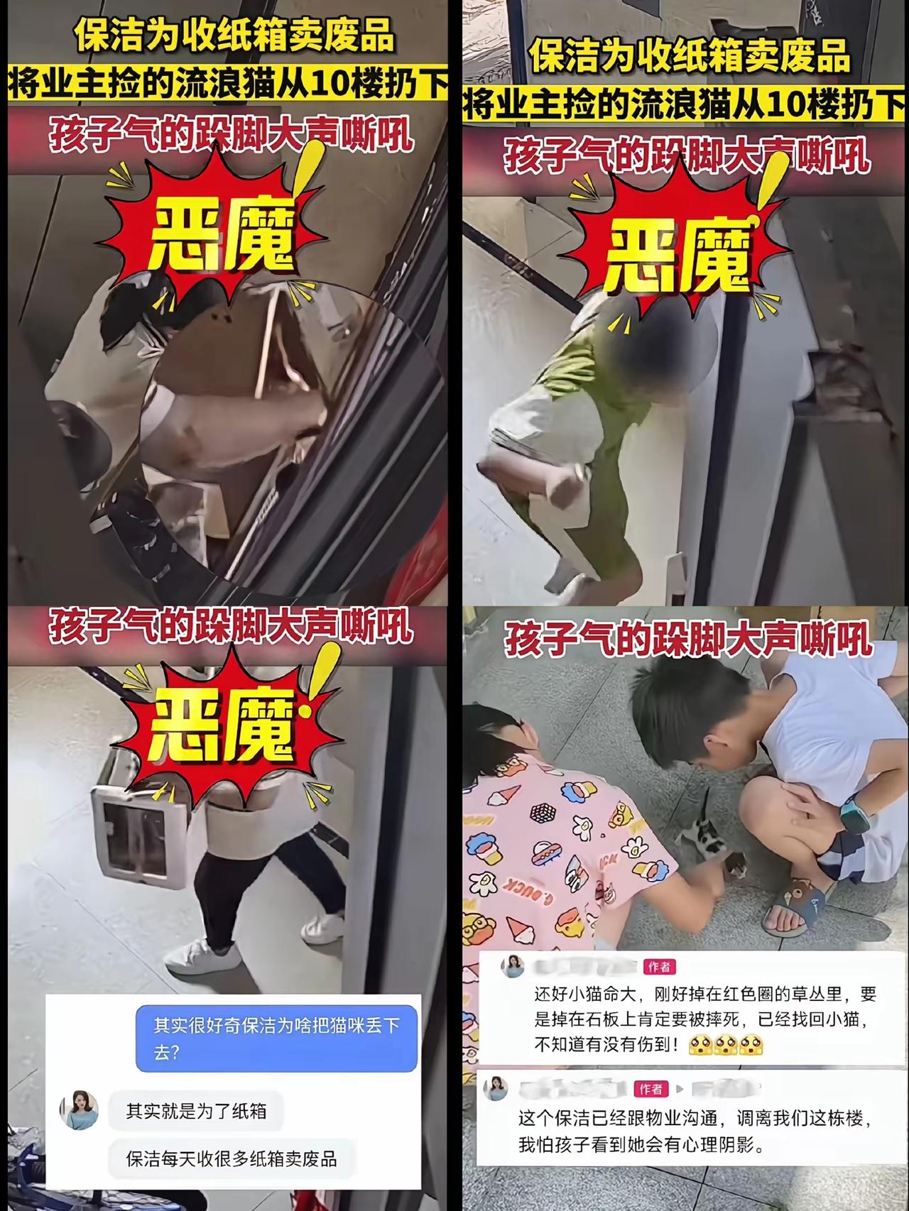 就为个卖不上一块钱的纸箱，居然把10楼纸箱里的小猫往下扔？这操作真的刷新认知下限
