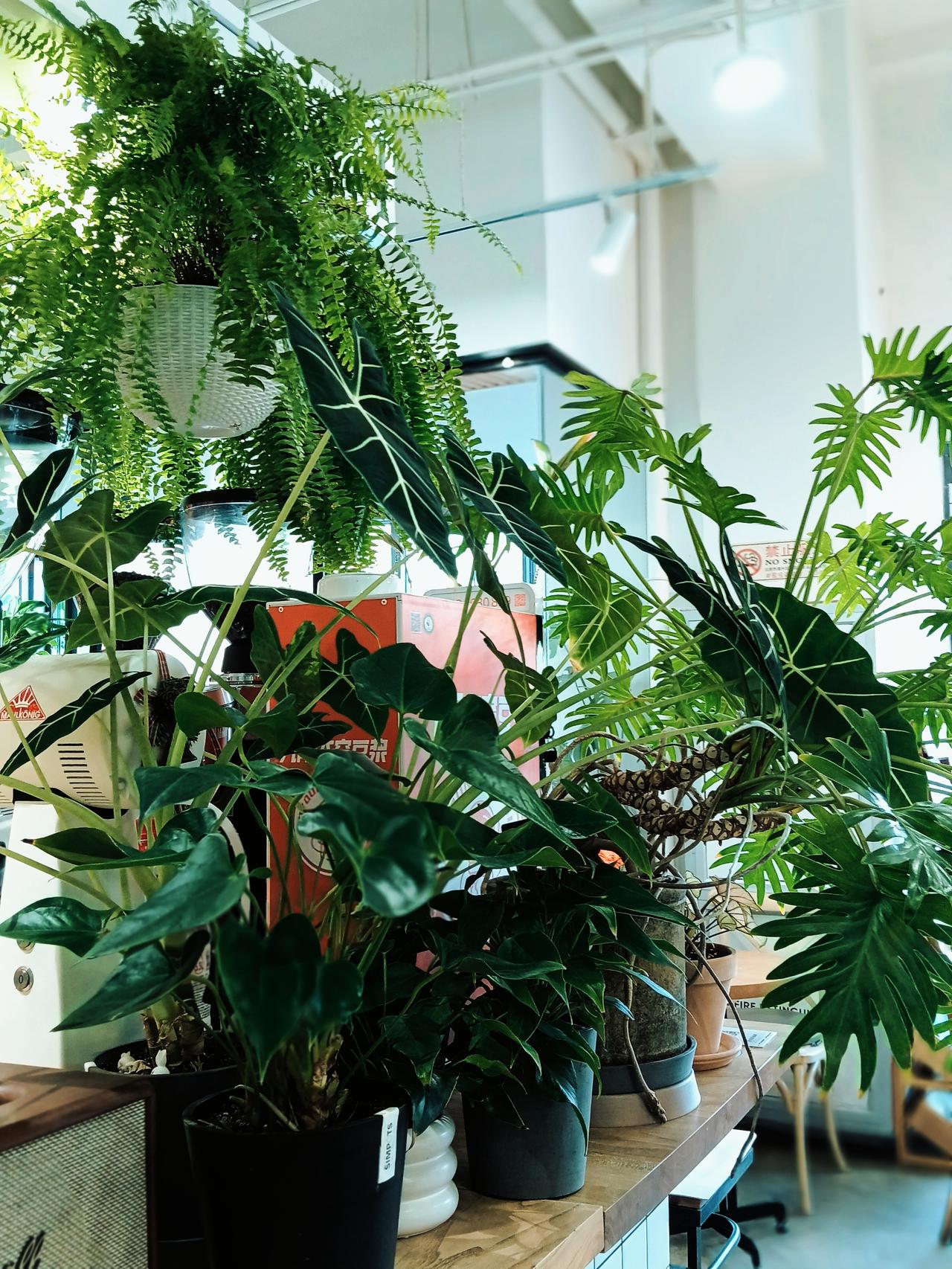 周日下午，孙子有事提前回学校了，老伴钓鱼没在家，儿子见客户还没回来，儿媳和我说：