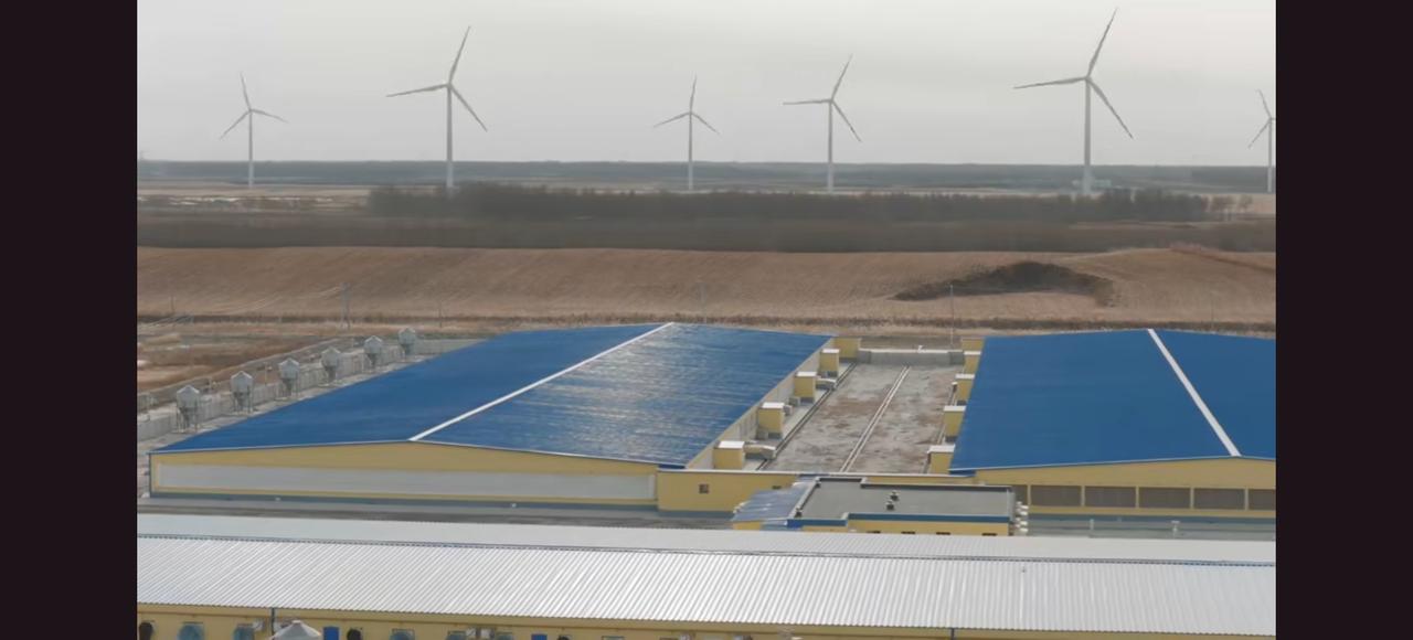 图中的画面，可以从一个小角度认识和解构当前中国的新质生产力。远方是风电设备在工作