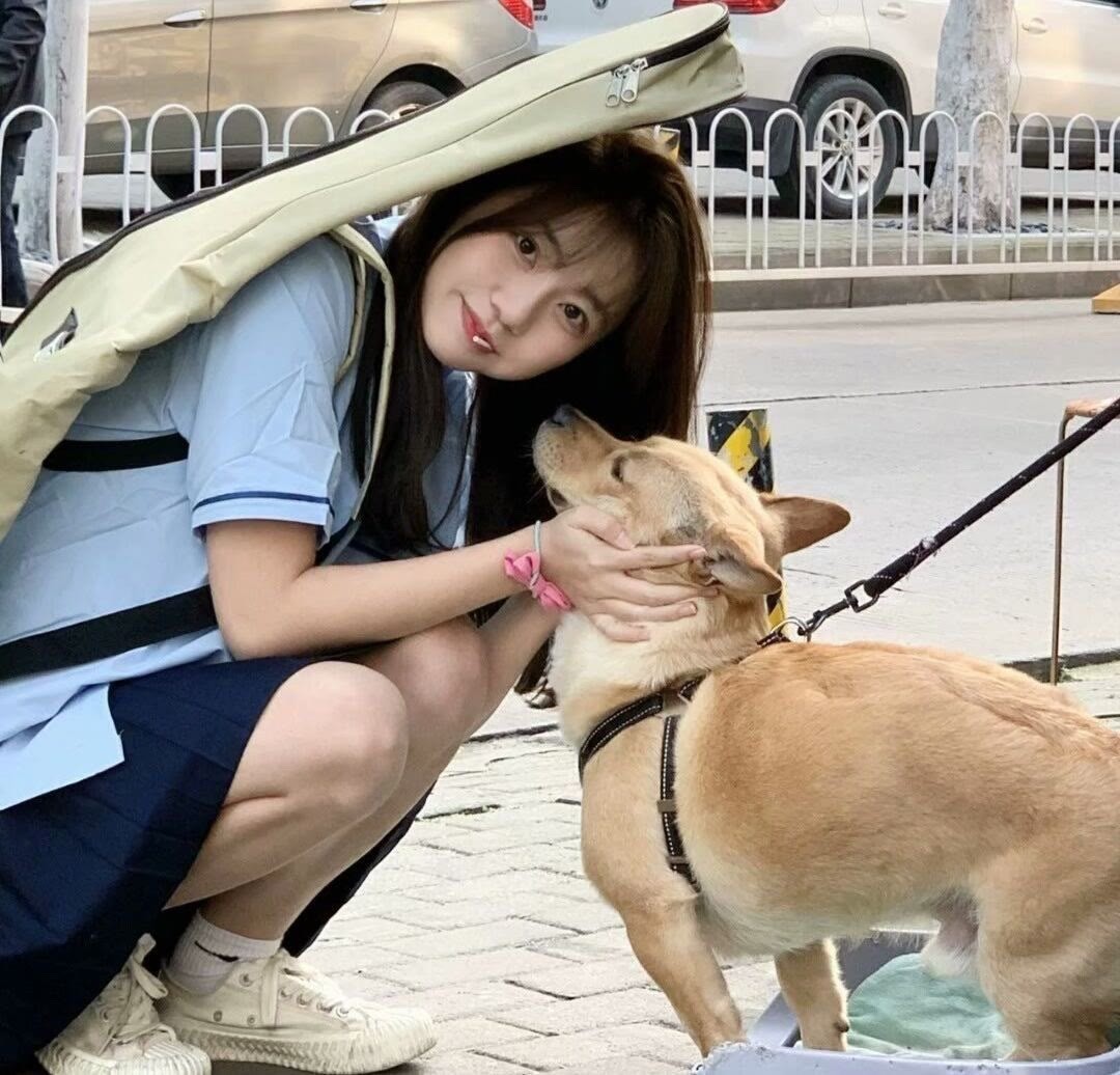 总会用到的ins头像 