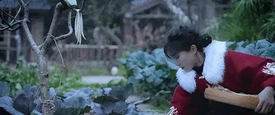 李子柒的走红，是时代赋予的机遇，更是她个人才华与努力的结晶。在她的视频中，没有华