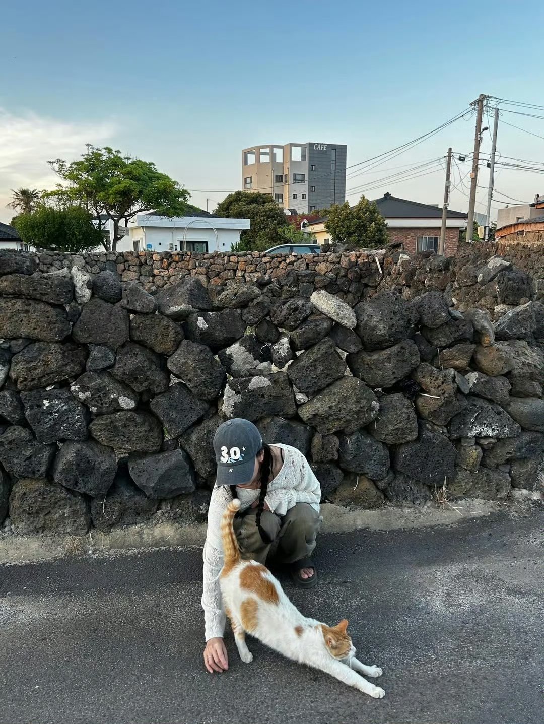 这个猫好丑 申请换成我家茶姐 