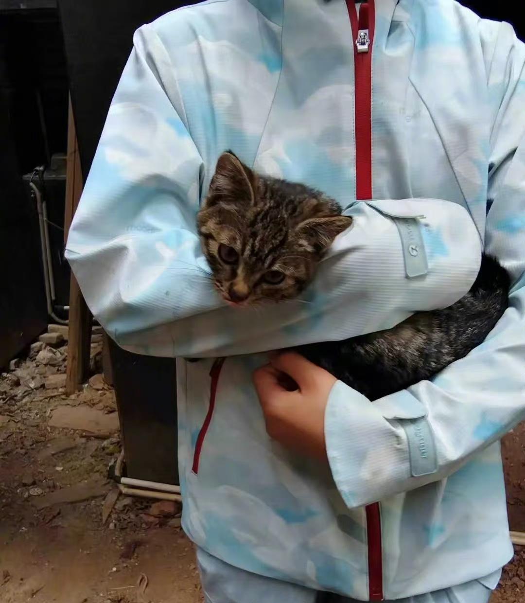 11岁小女孩下楼扔垃圾，20分钟就赚了2000块？这钱赚得也太容易了吧！原来她是