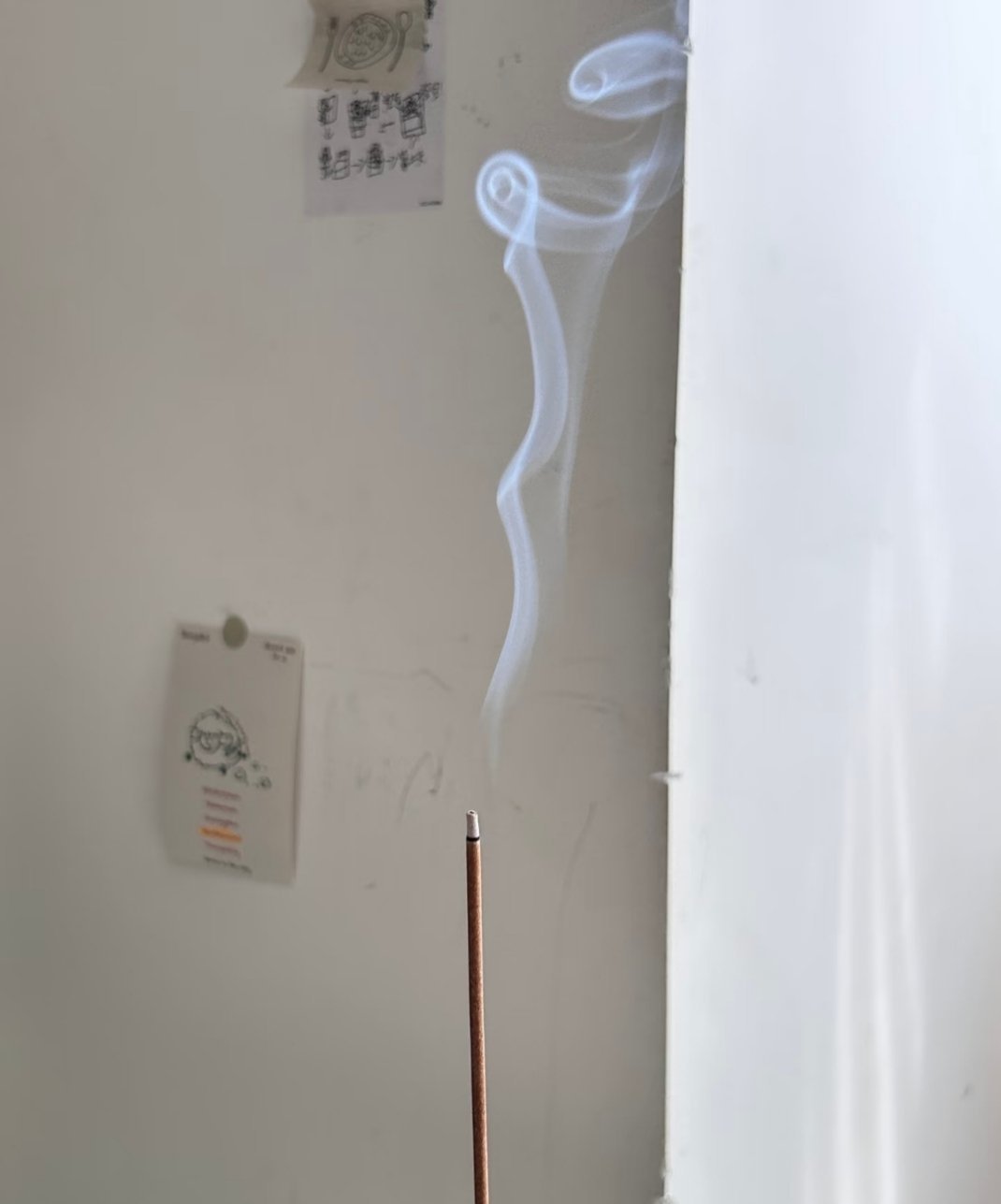 广东遍地都是香插…随手捡的，当香插刚刚好 