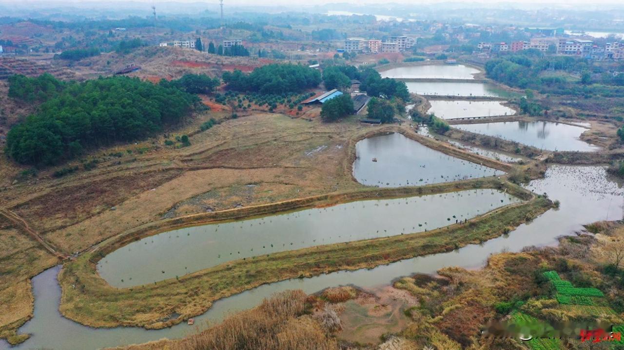 湖南永州，一农妇在自己承租的土地上挖了几个鱼塘准备开个农家乐。不曾想有关部门竟认