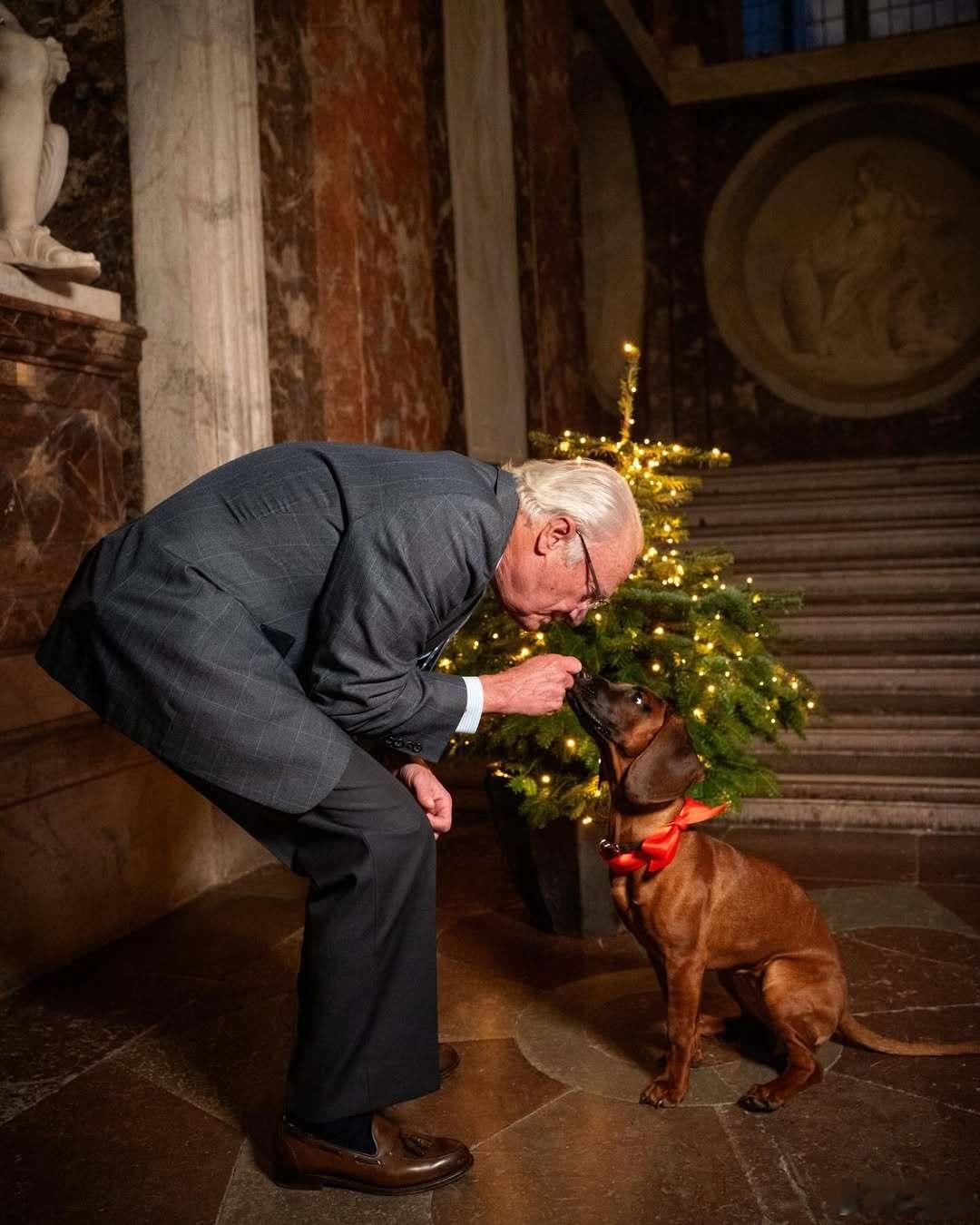 瑞典王室 🇸🇪12月24日，卡尔十六世·古斯塔夫国王＆西尔维亚王后在卓宁霍姆