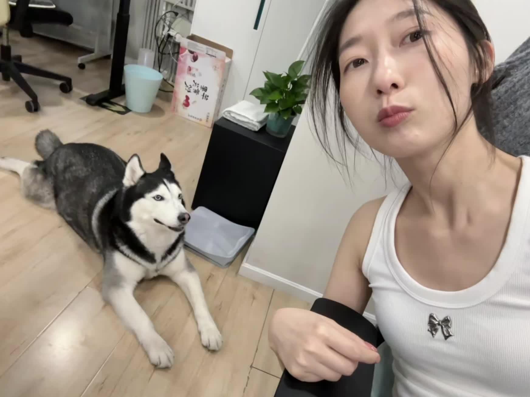 怕小狗周末在家无聊 拉出来一起加班