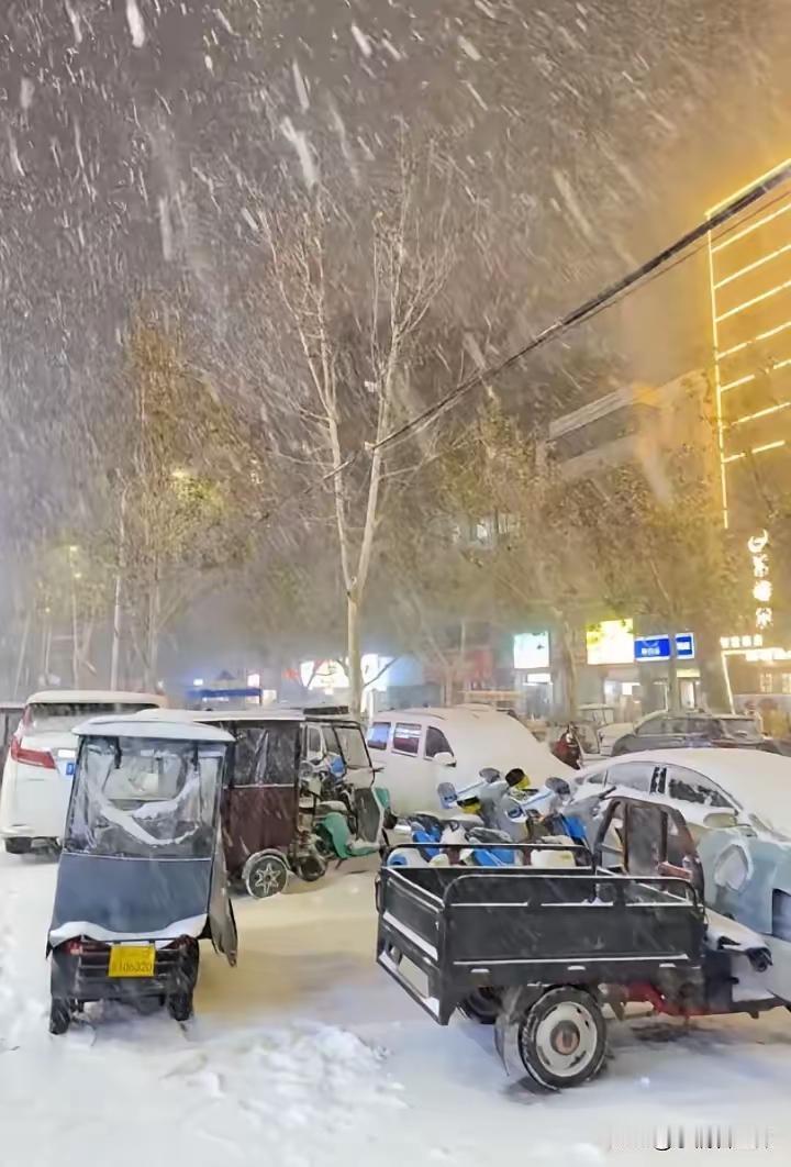 河南这场大雪，算是把中年人的狼狈全抖落出来了。

昨积雪十公分，学校中午突通知取
