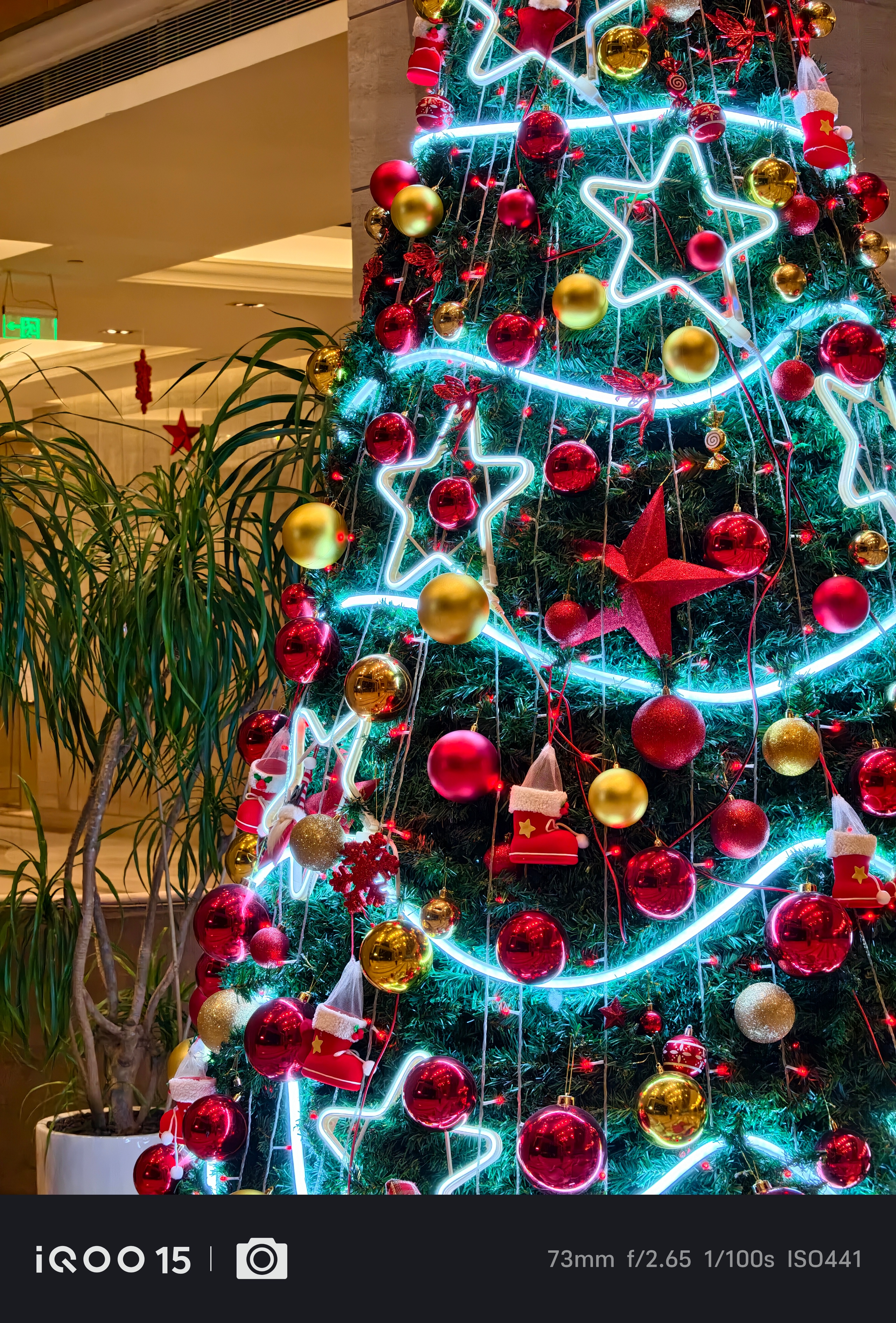 今天是圣诞节，没啥存在感，就是周边多了一些圣诞树，很好看