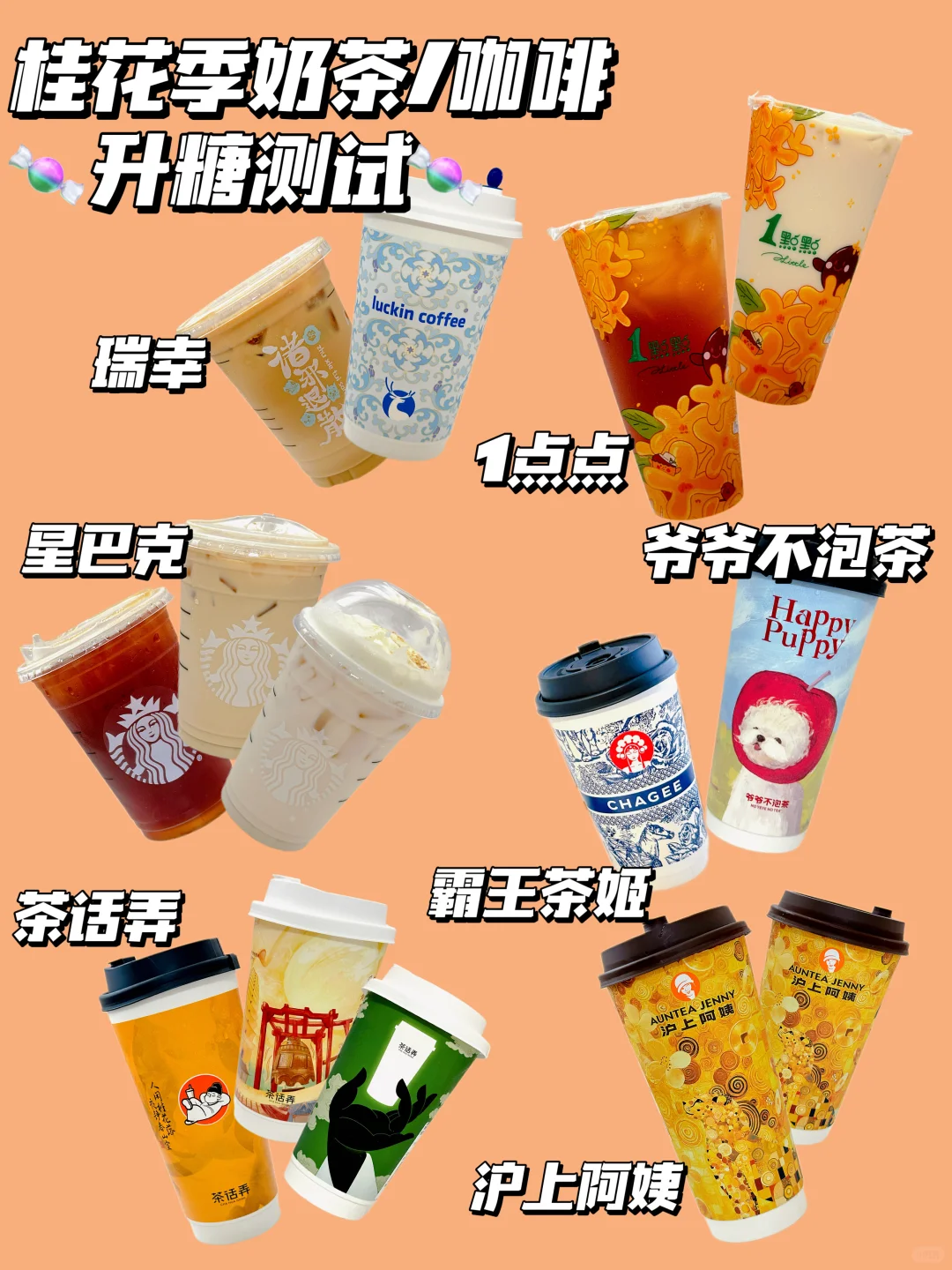 附热量🔥桂花风味奶茶/咖啡☕升糖测试🍬
