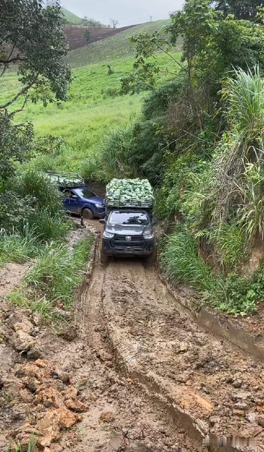 就这路，还得是皮卡