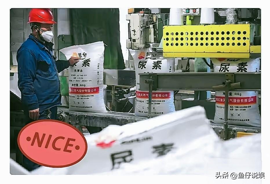 我敢说，霍尔木兹海峡这事再拖下去，最先起飞的不是越南这些国家，而是咱们西北的宁夏