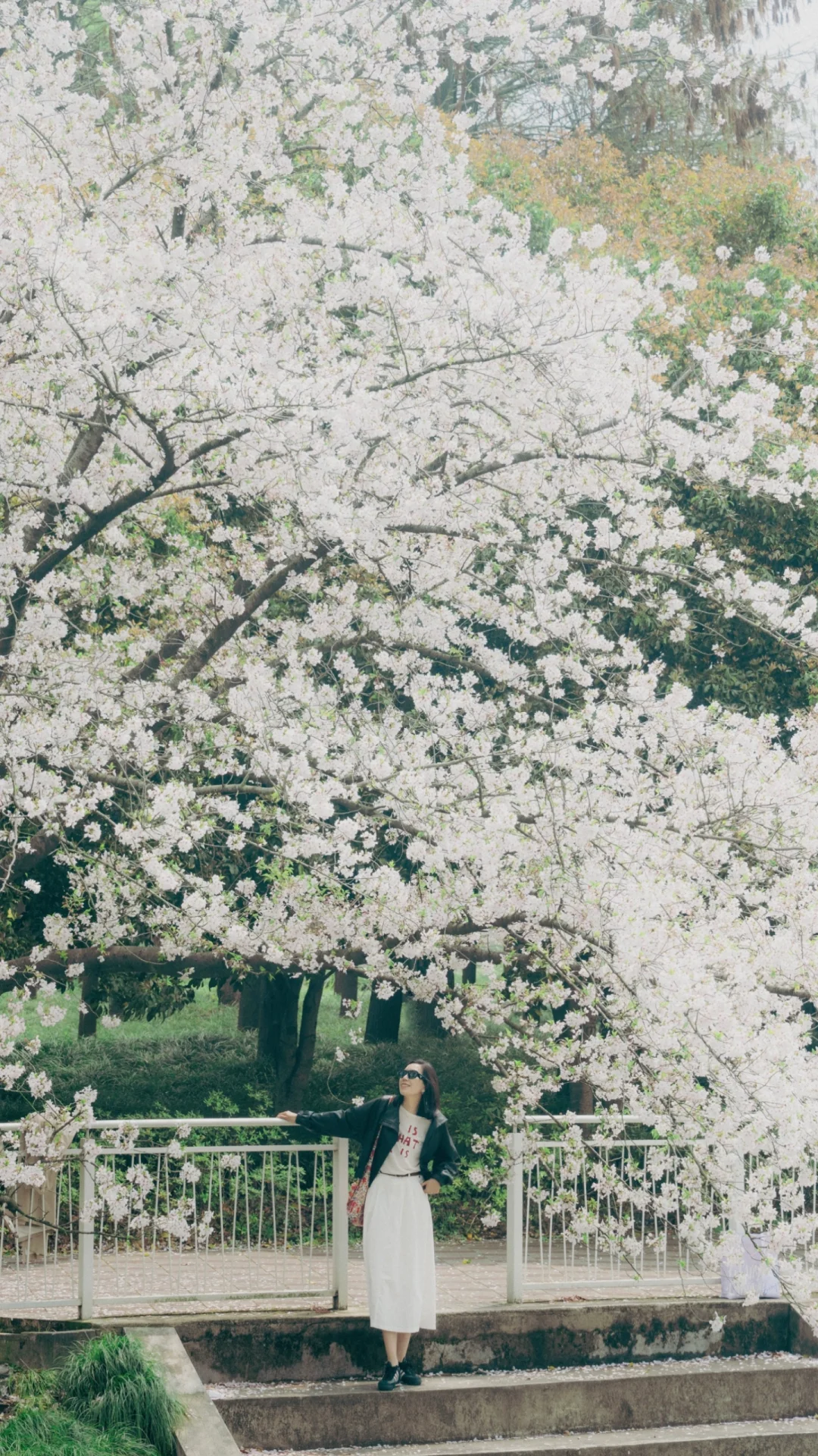 朋友说我在拿捏🌸氛围方面绝了～
