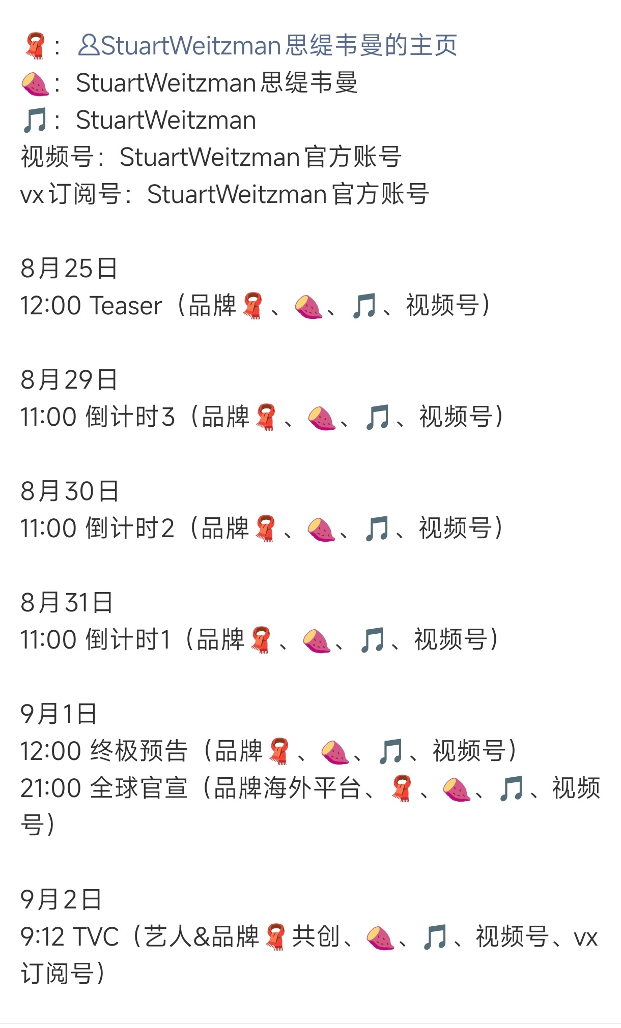 StuartWeitzman思缇韦曼  ╳  杨幂奢侈品牌全球合约再入账，高奢品