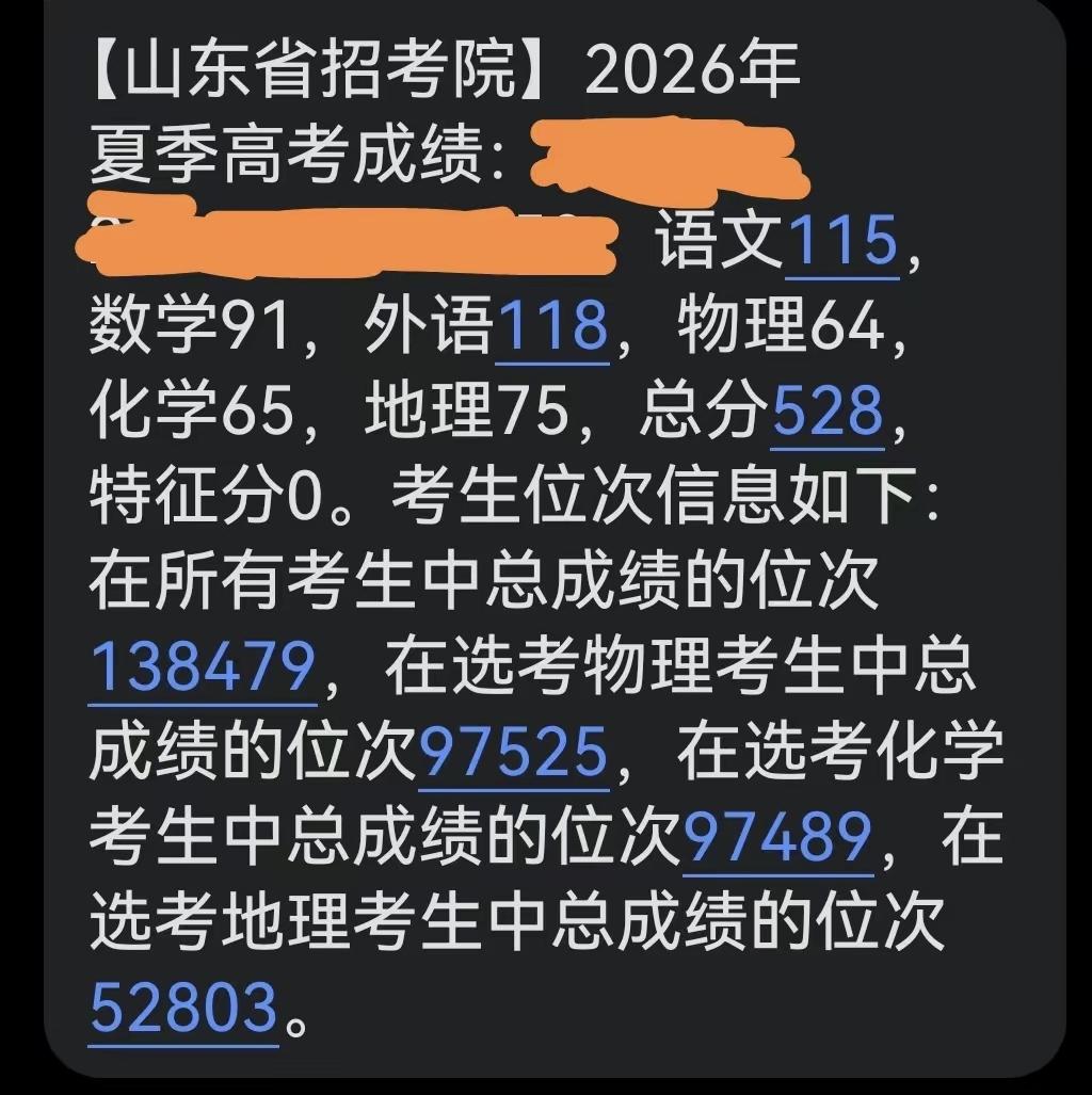 看一个案例，一名山东省理科考生2026年高考的分数为528分，对应位次为1384
