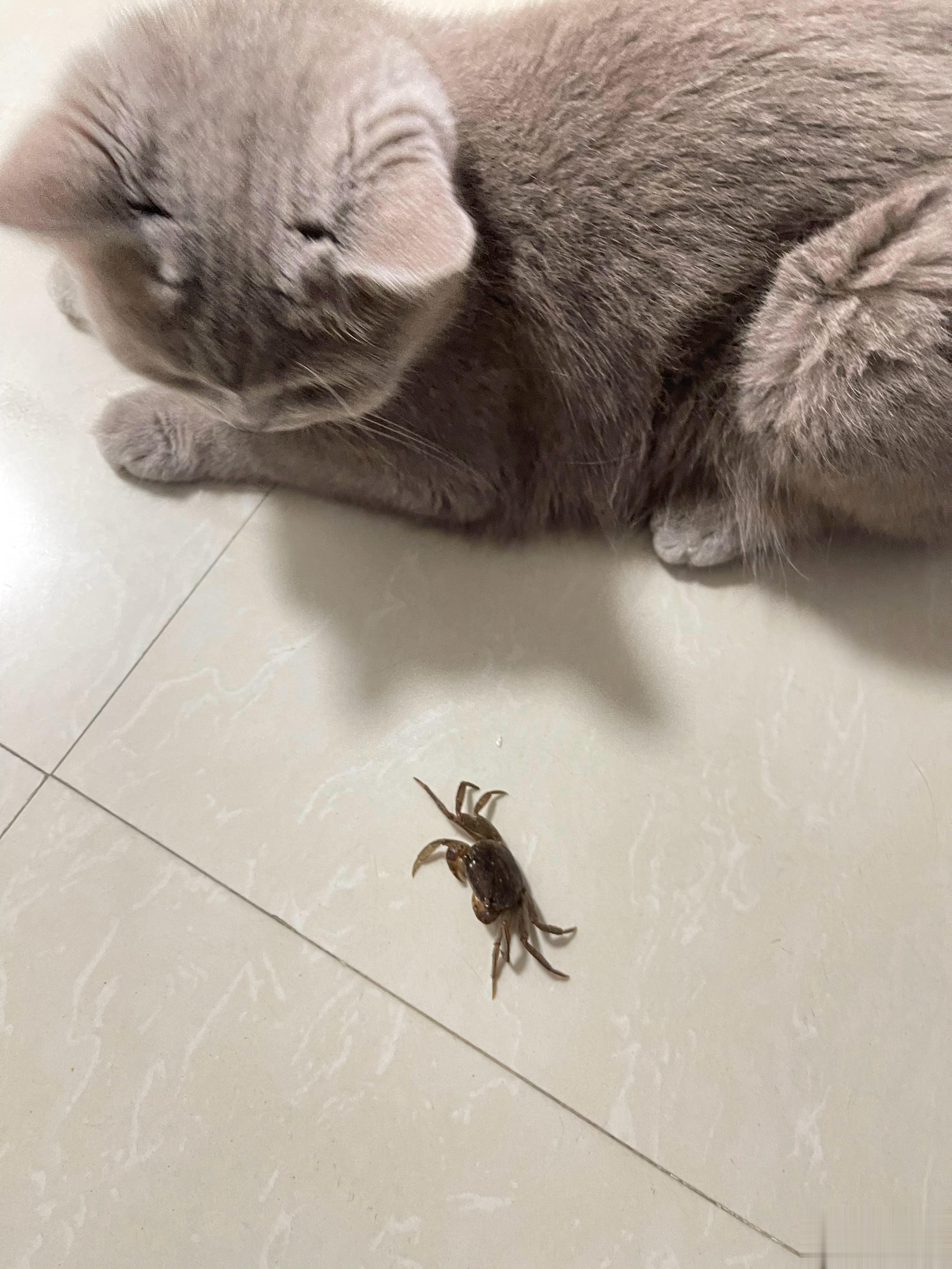 我特意给你买的你不玩玩？ ​​​