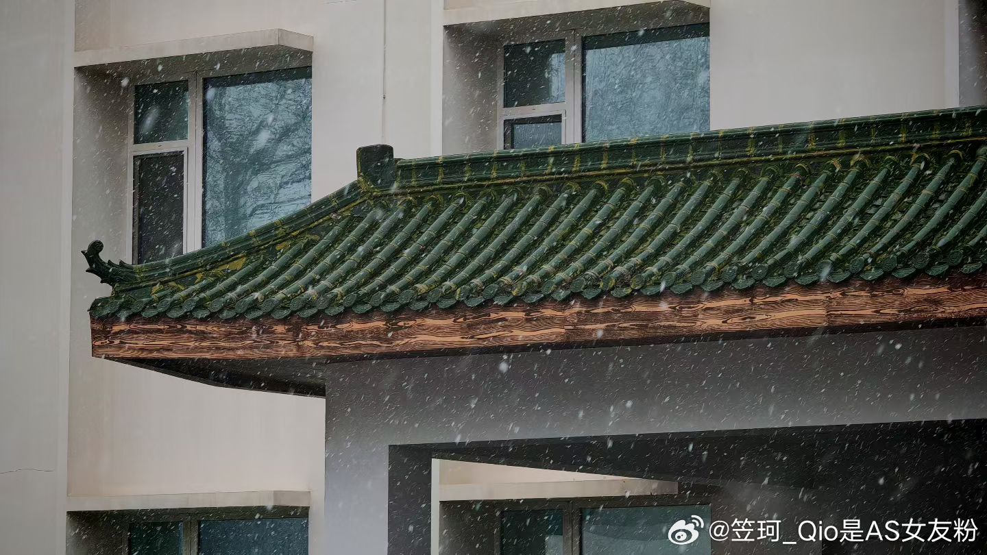 春雪贵如油，瓢泼下不停带你去吃刘文祥😋 