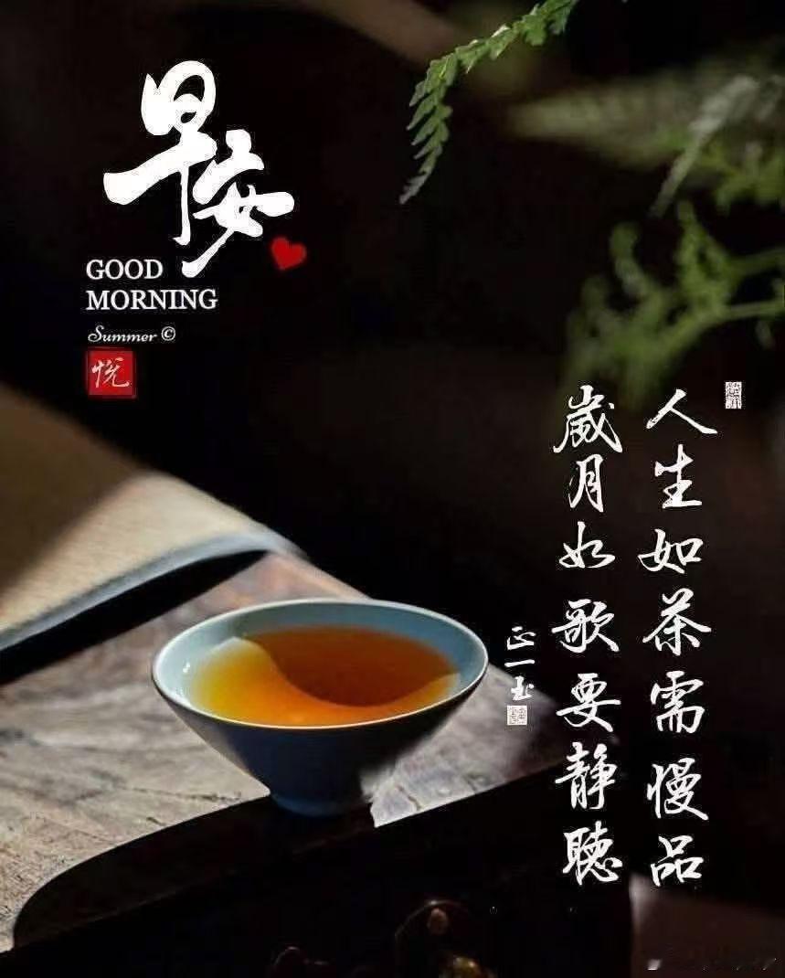 宽窄思语 水沸时，听松涛在壶中醒来。叶展时，见青山在盏里浮沉。莫问冷暖几度——烫