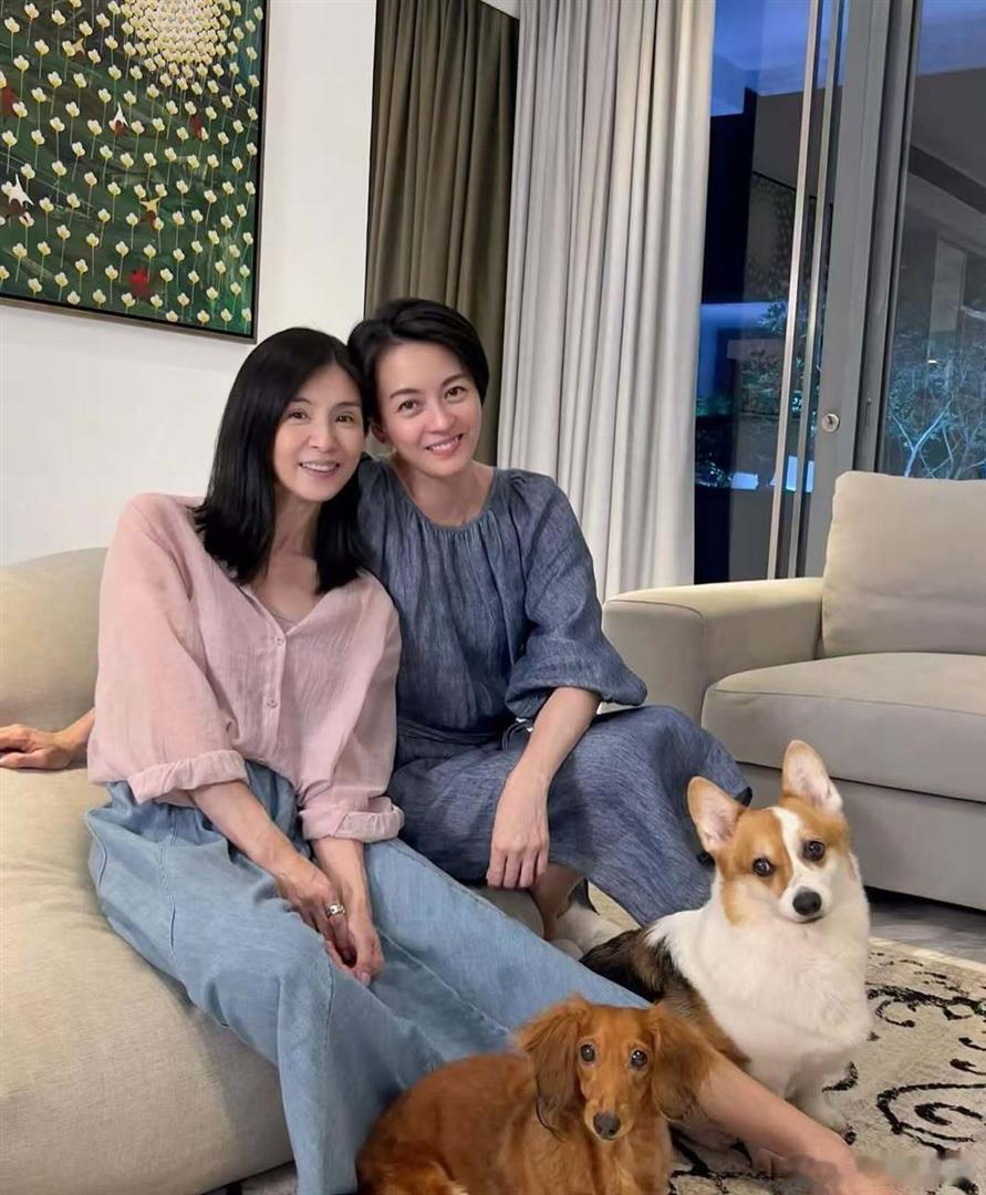 90年代玉女杨采妮近状曝光 近日，51岁的杨采妮最近在小红书晒出素颜近照，皮肤紧