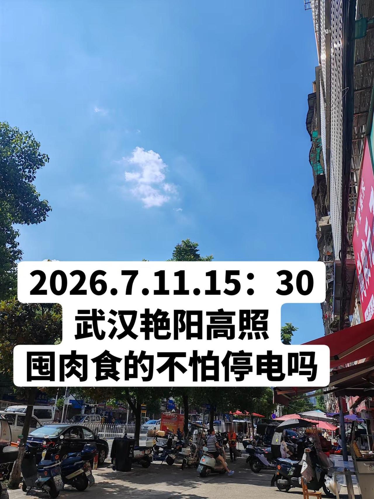 我就买了两天的菜，茄子、土豆、辣椒、包菜、番茄
