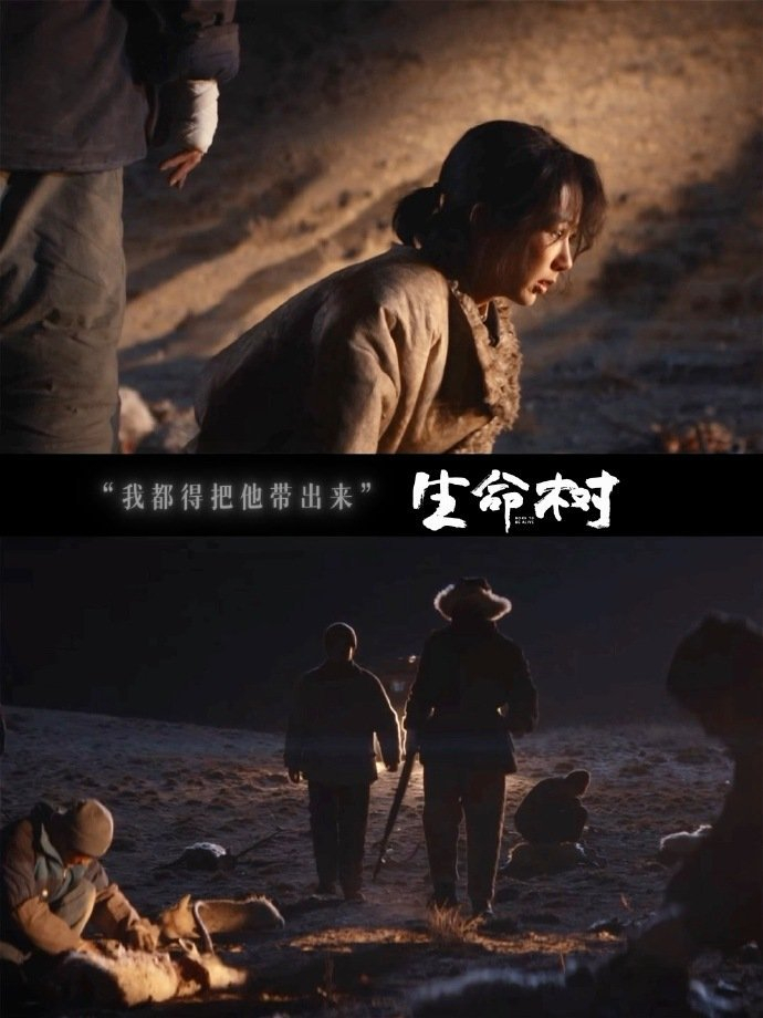 年前都要被生命树刷屏了杨紫梅婷枪神母女 年前都要被生命树刷屏了，这么带感的剧情，