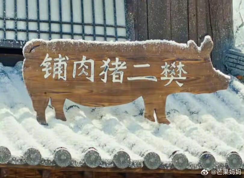 五字概括逐玉剧情人类还要被这些萌物硬控多久，逐玉，好一个猪猪痛屋🐷 