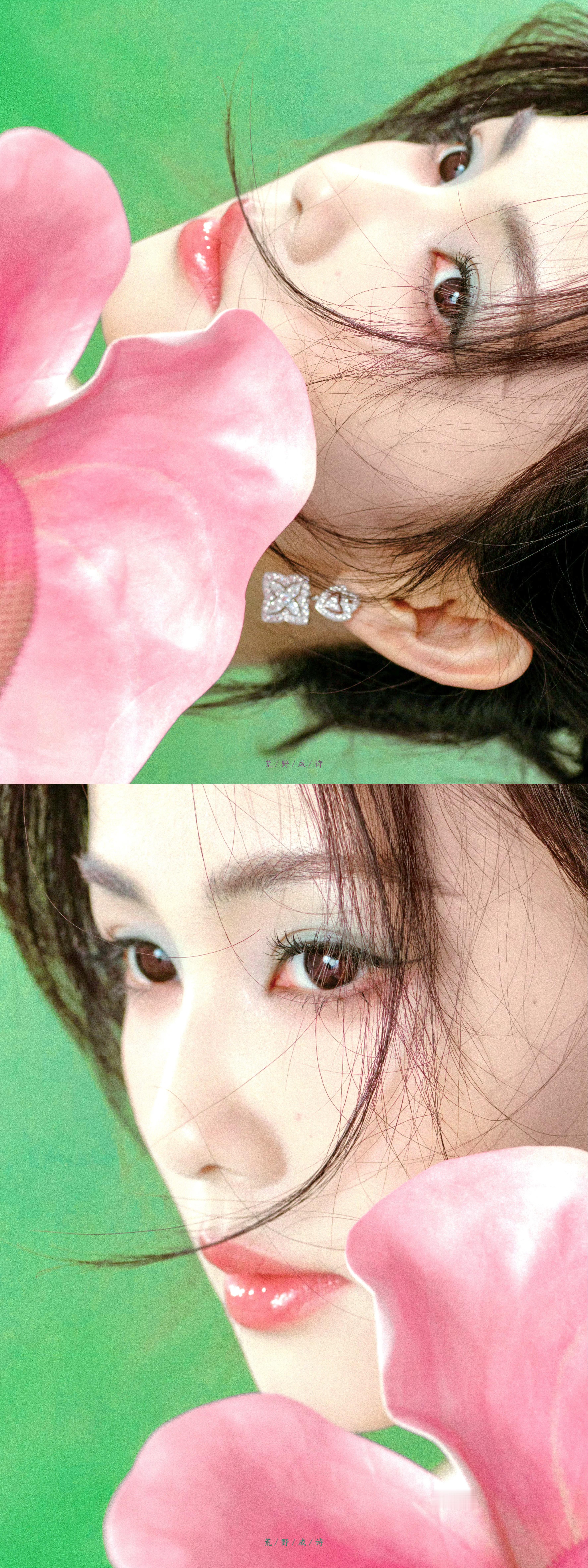 * 白鹿🌷白鹿临江仙 ​​​