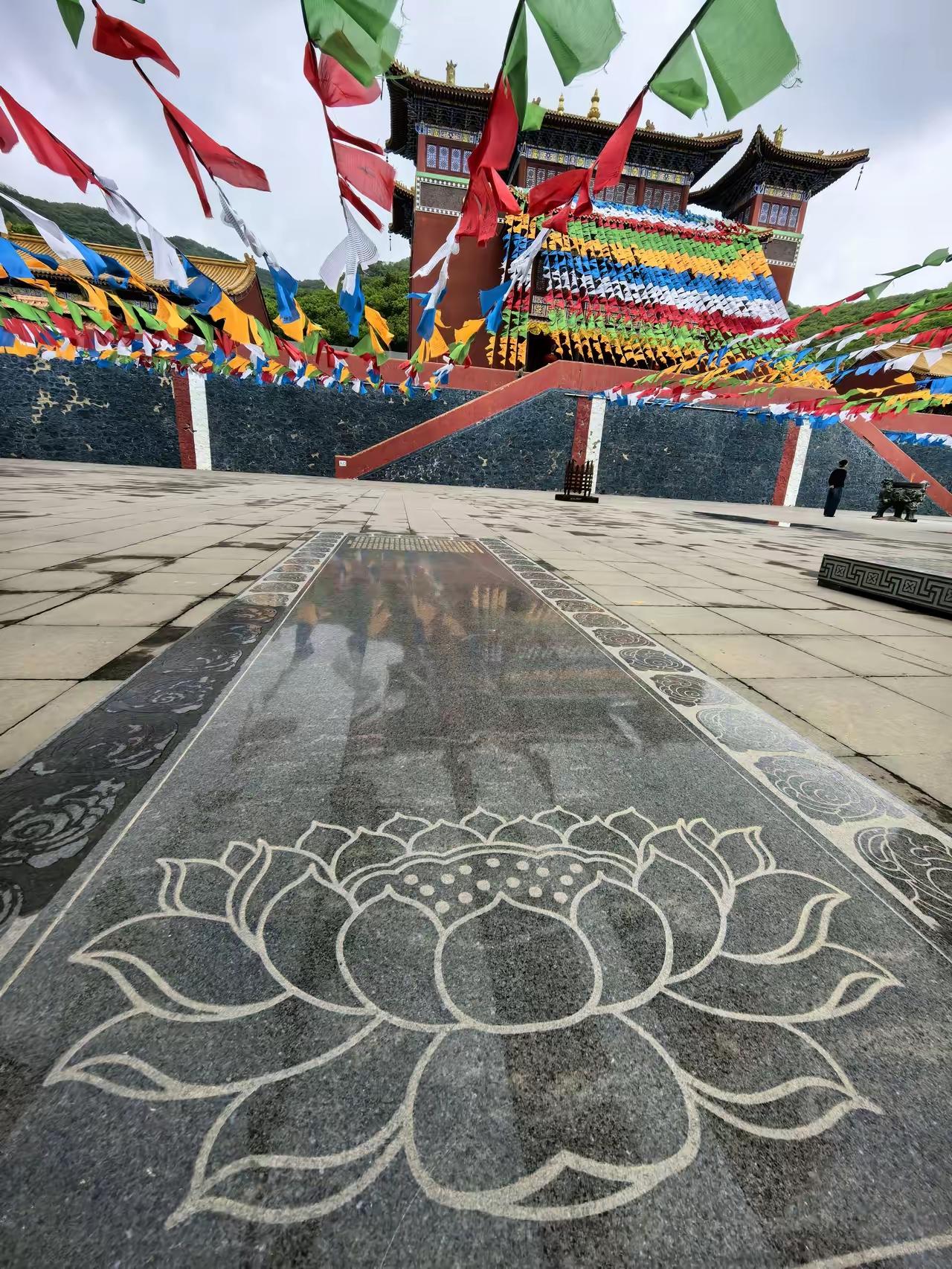 总觉得日子过得浮躁又疲惫，总在向外索取物质和情绪价值，直到高铁上偶遇一位僧人，我