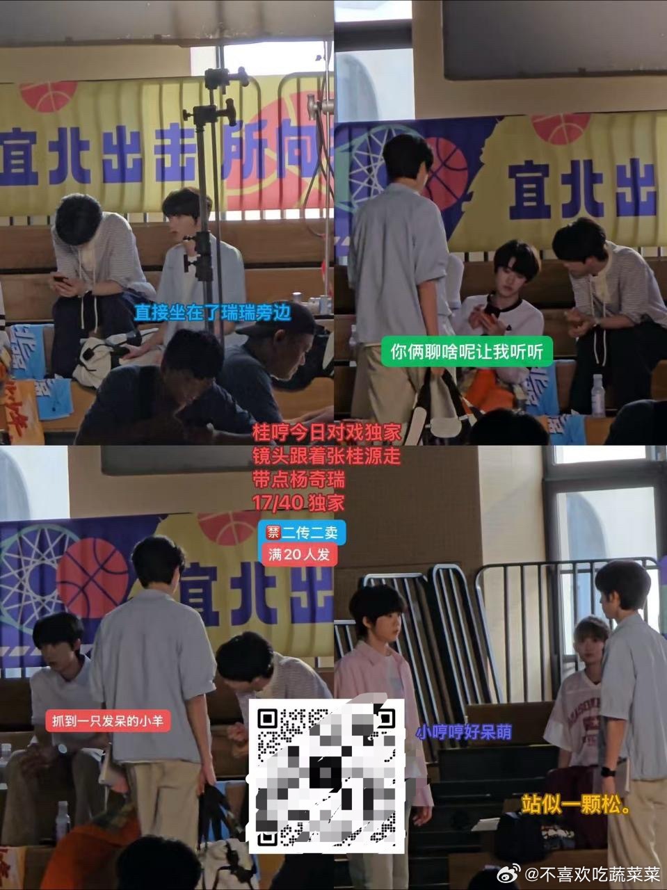 tg 桂恒奇文瑞路透 